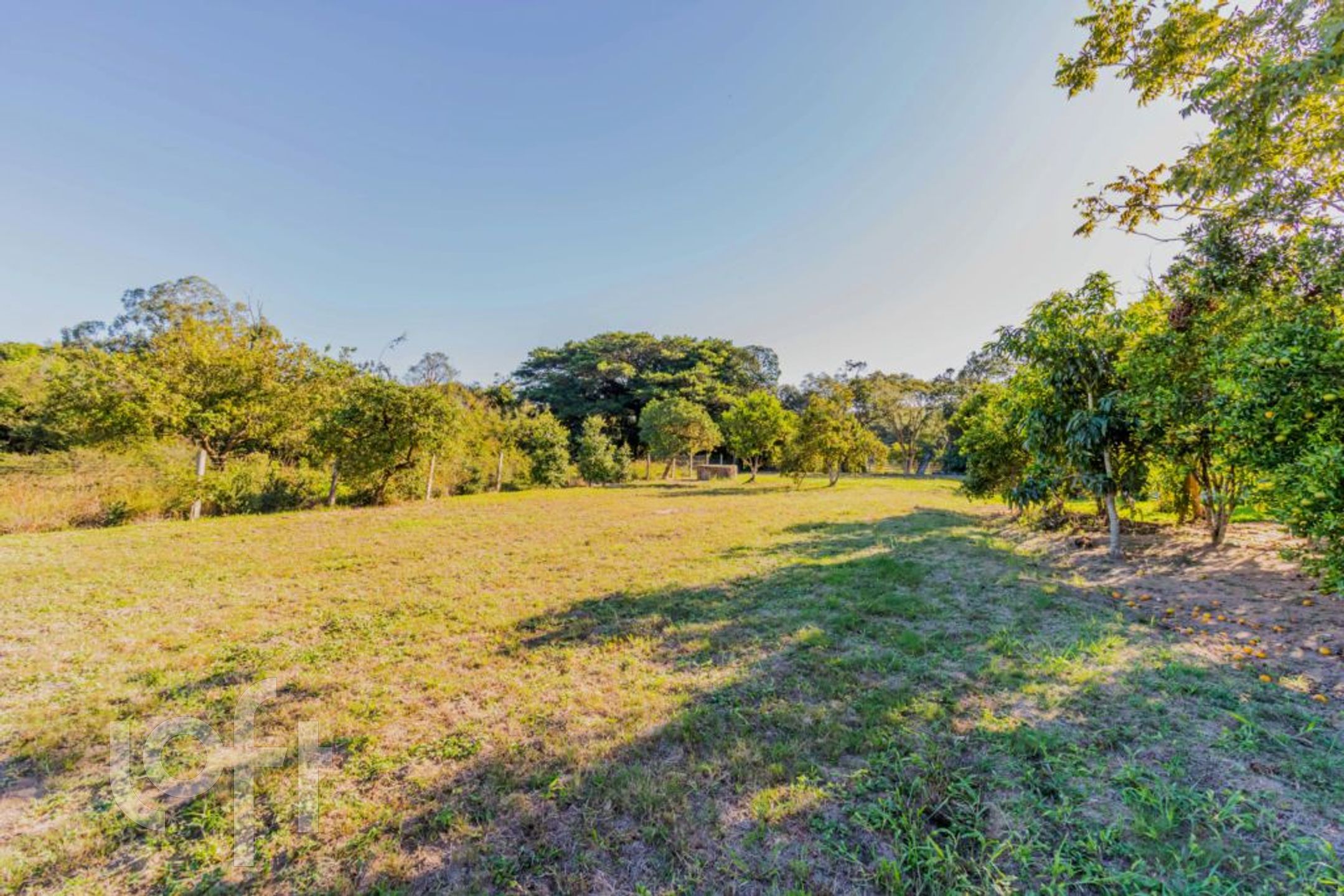 Imagem da propriedade 65