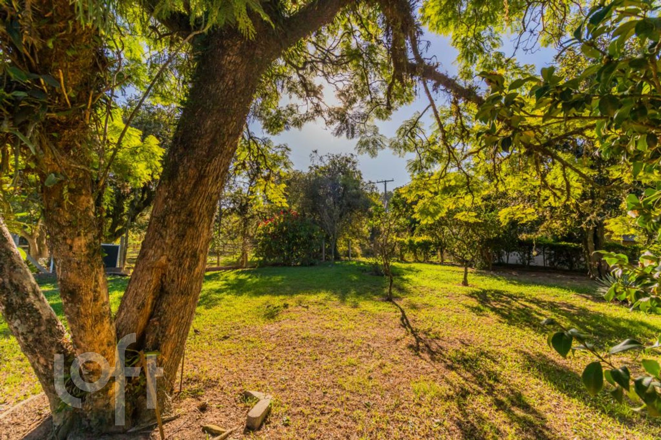 Imagem da propriedade 88