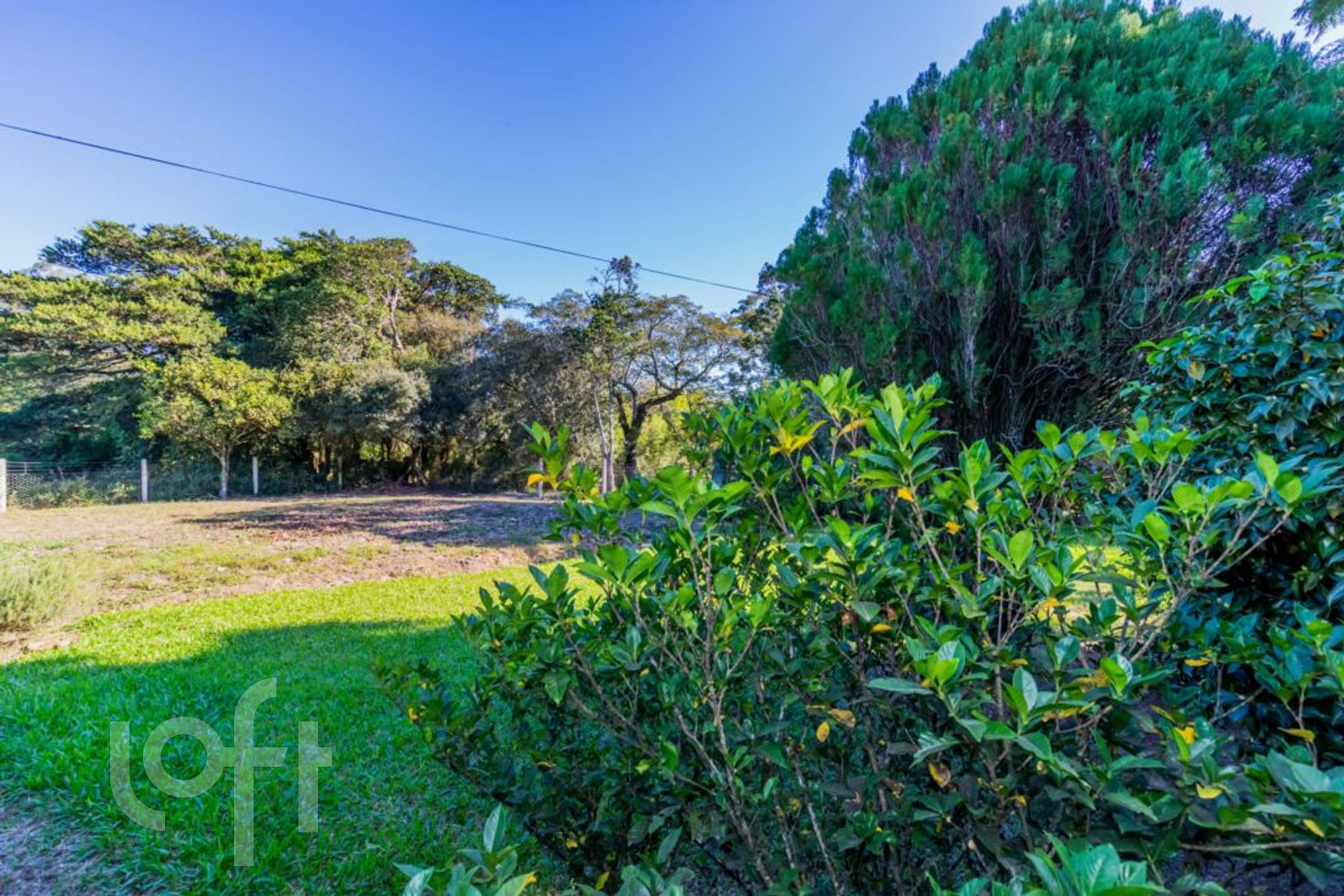 Imagem da propriedade 13