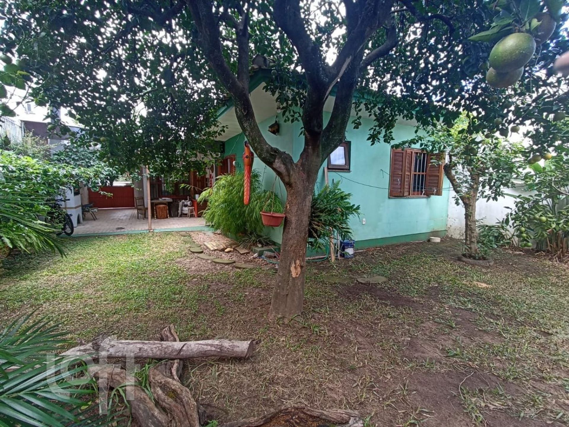 Imagem da propriedade 5