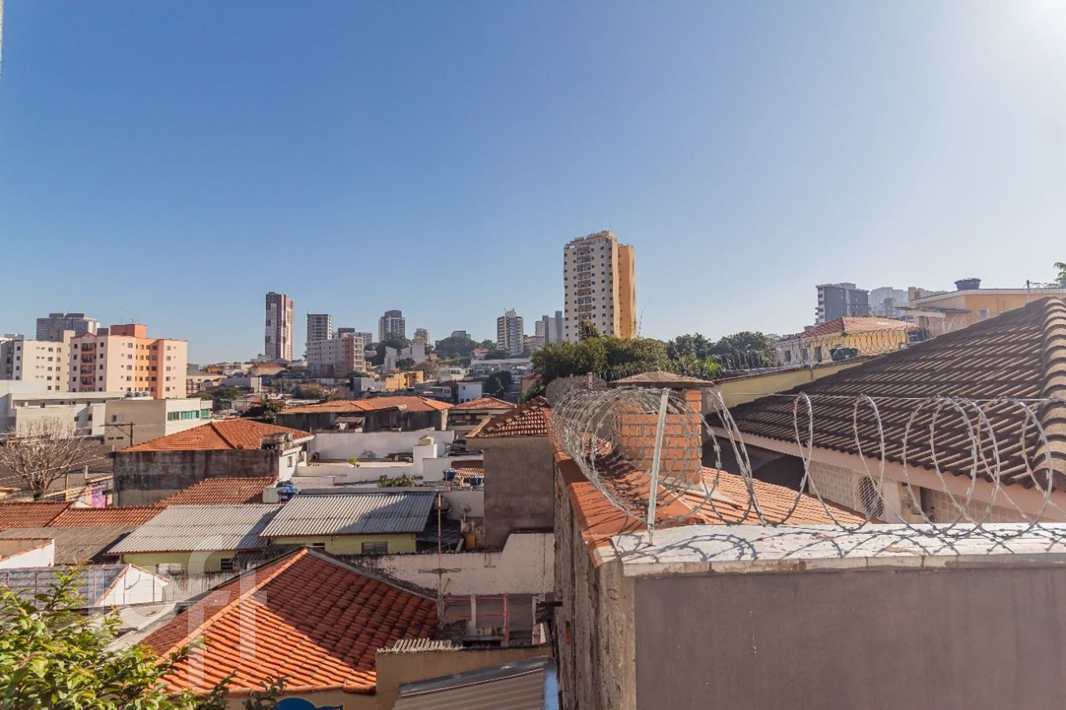 Imagem da propriedade 17