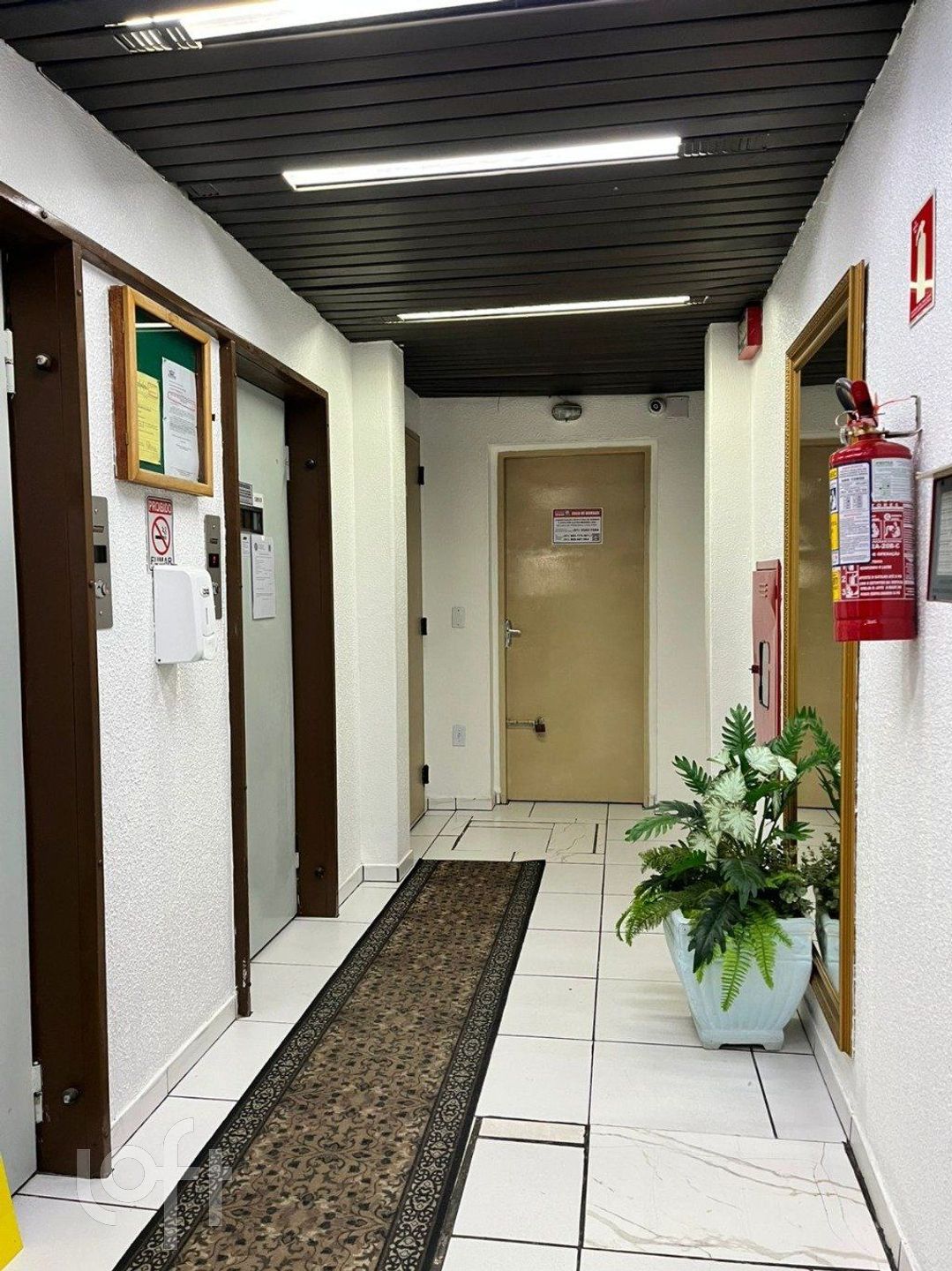 Imagem da propriedade 3