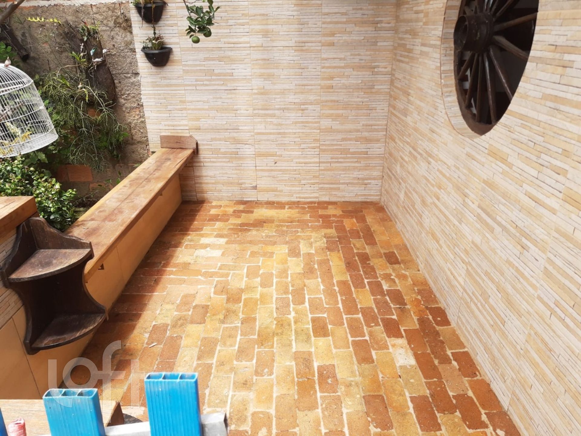 Imagem da propriedade 11