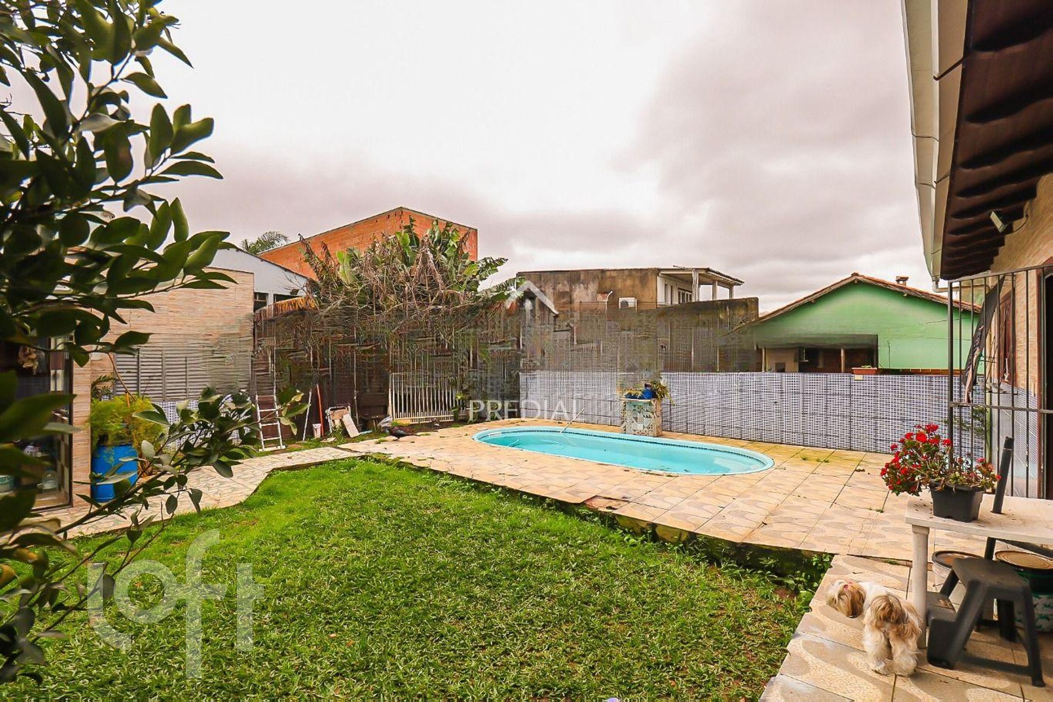 Imagem da propriedade 4