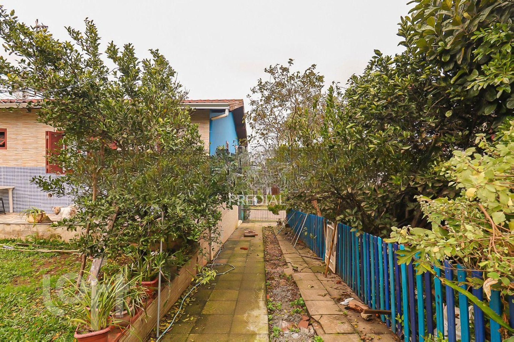 Imagem da propriedade 6