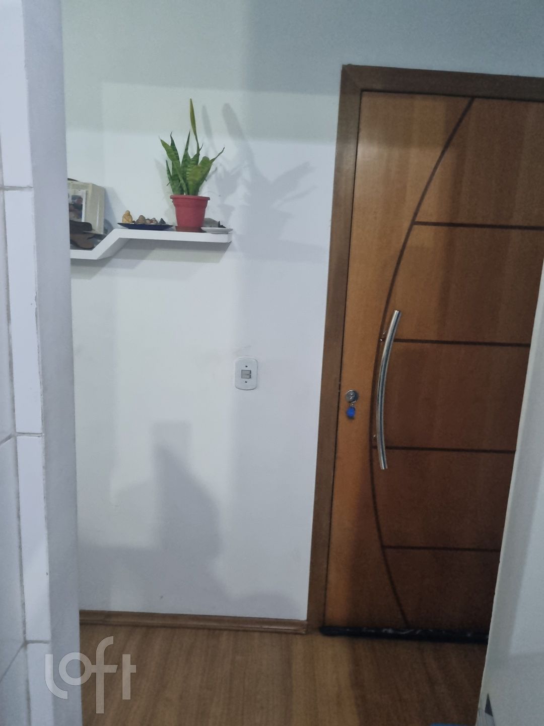 Imagem da propriedade 18