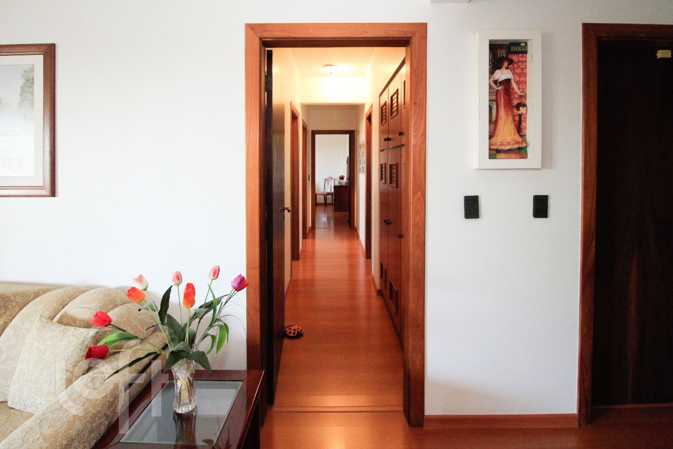 Imagem da propriedade 17