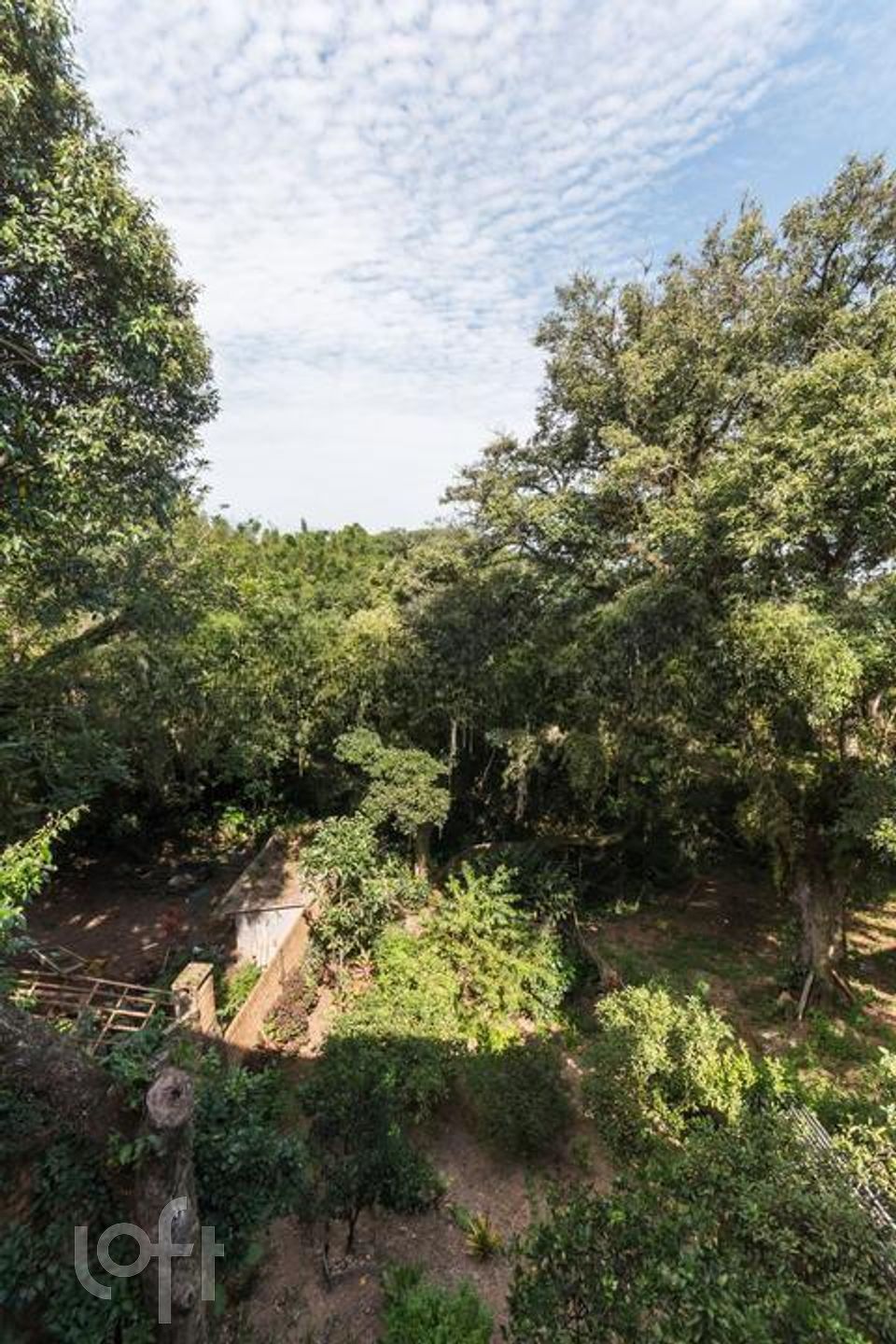 Imagem da propriedade 36