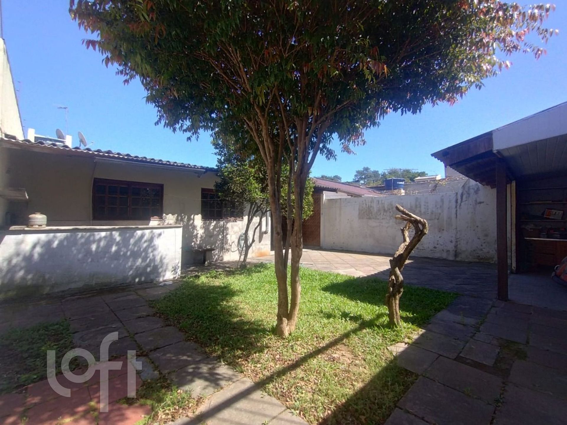 Imagem da propriedade 19