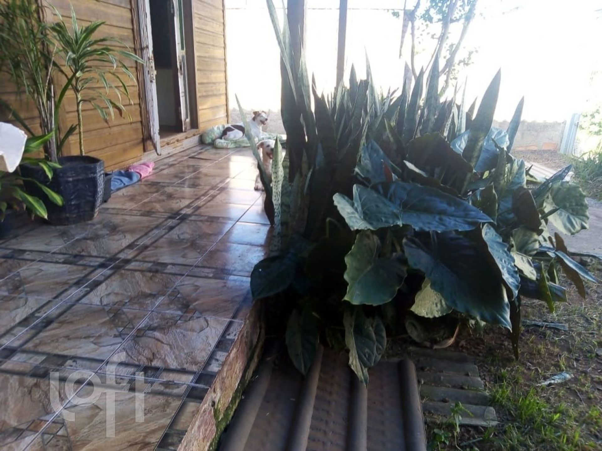 Imagem da propriedade 11