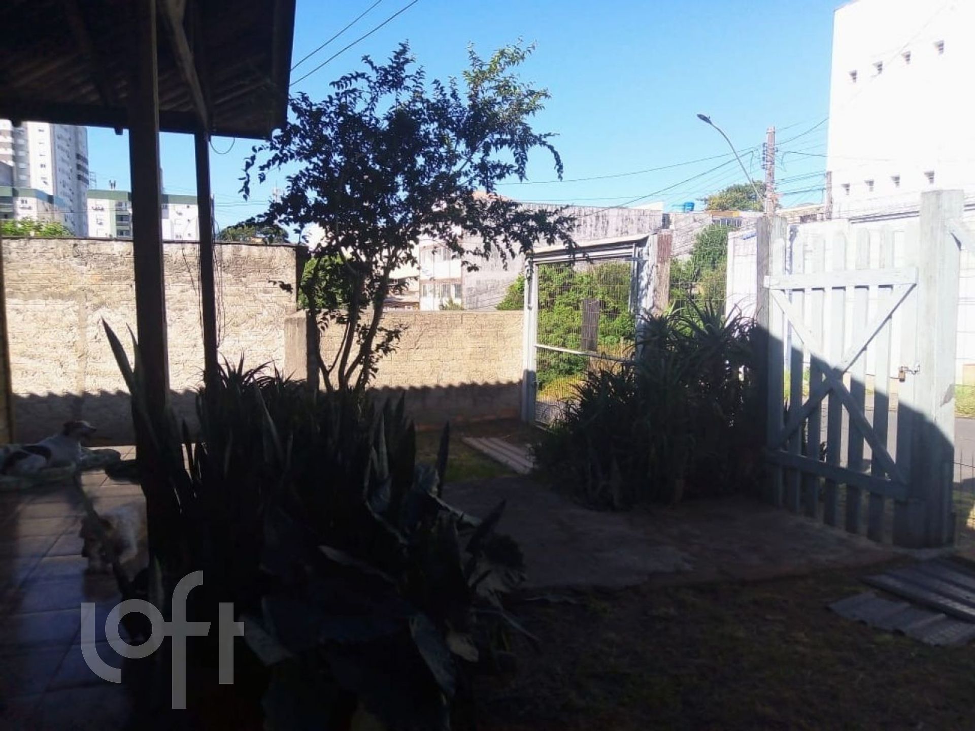 Imagem da propriedade 8