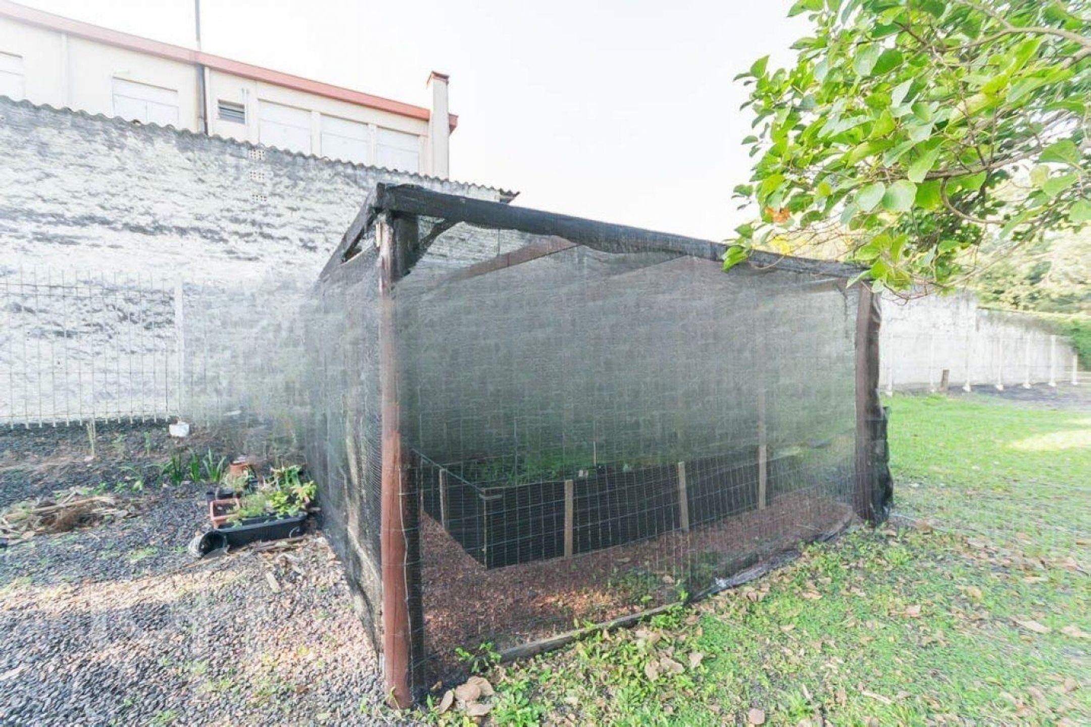 Imagem da propriedade 24