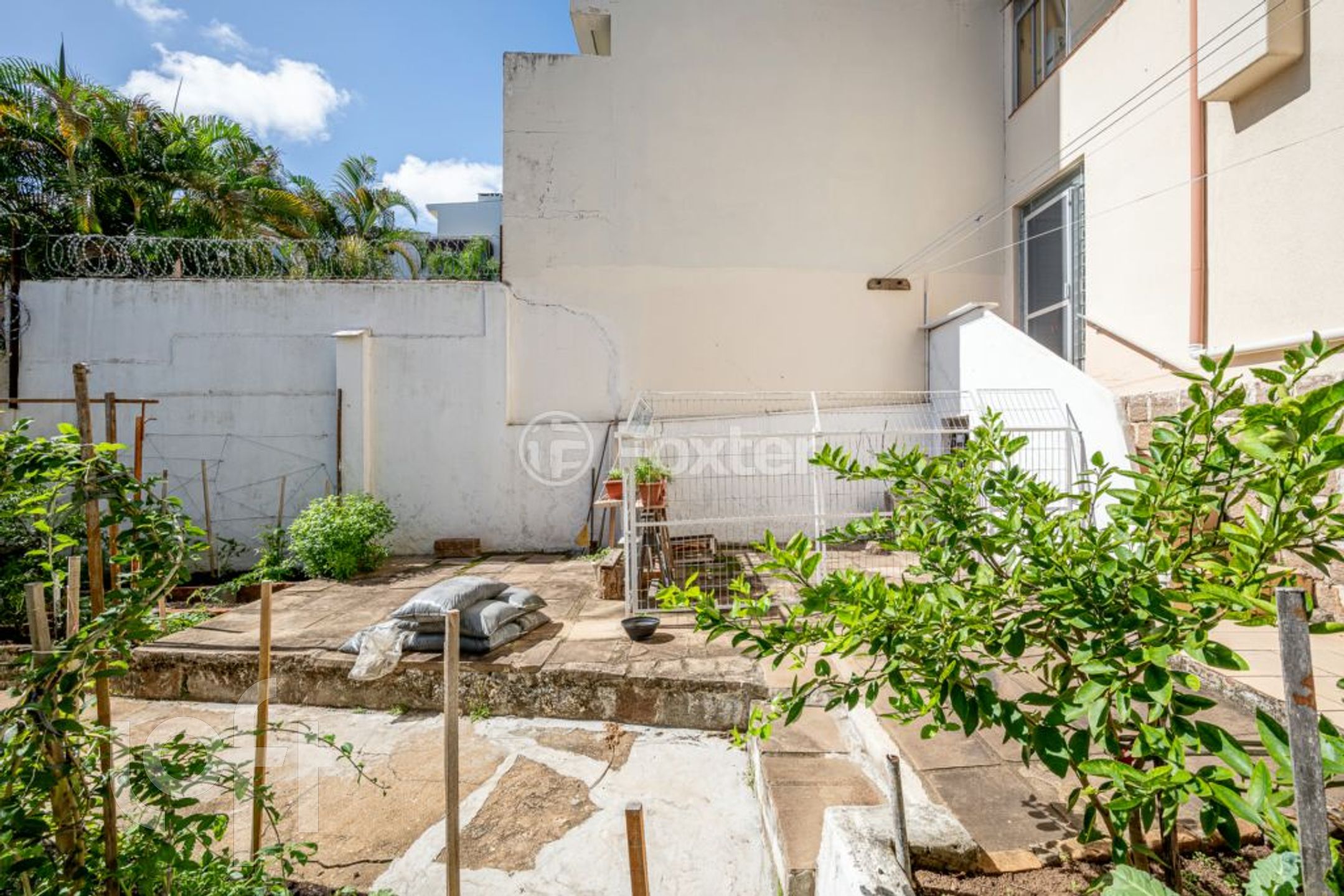 Imagem da propriedade 31