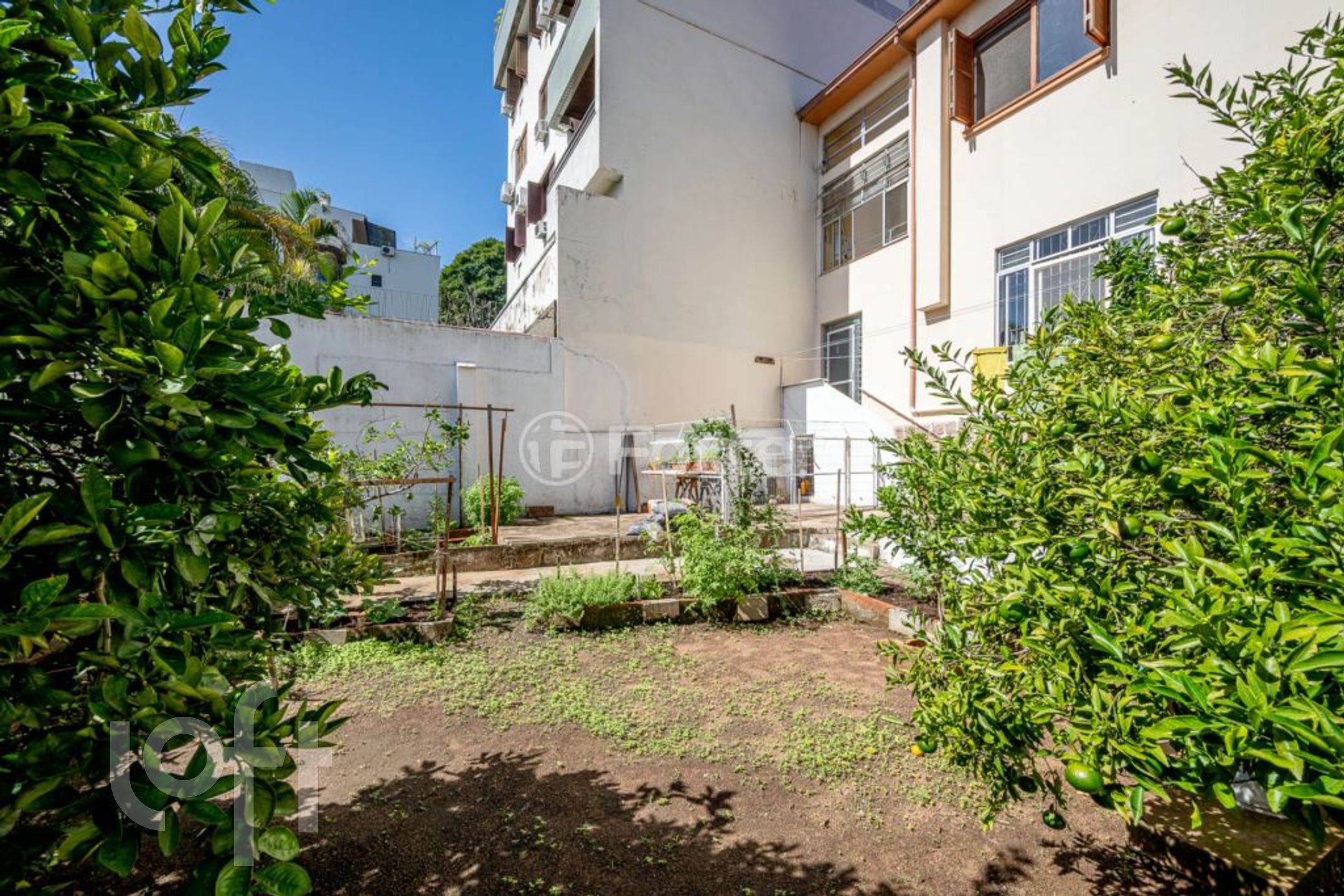 Imagem da propriedade 34