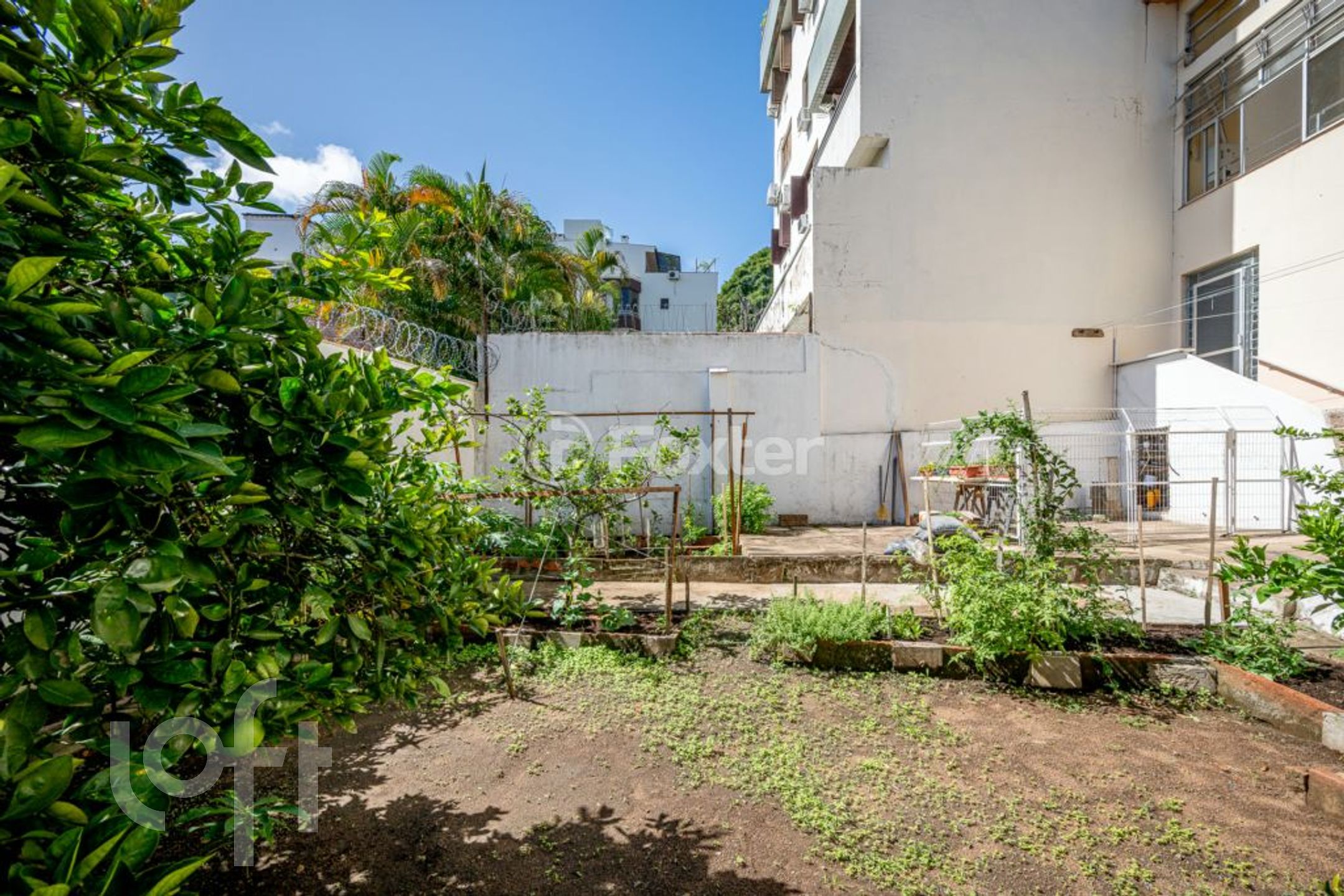 Imagem da propriedade 35