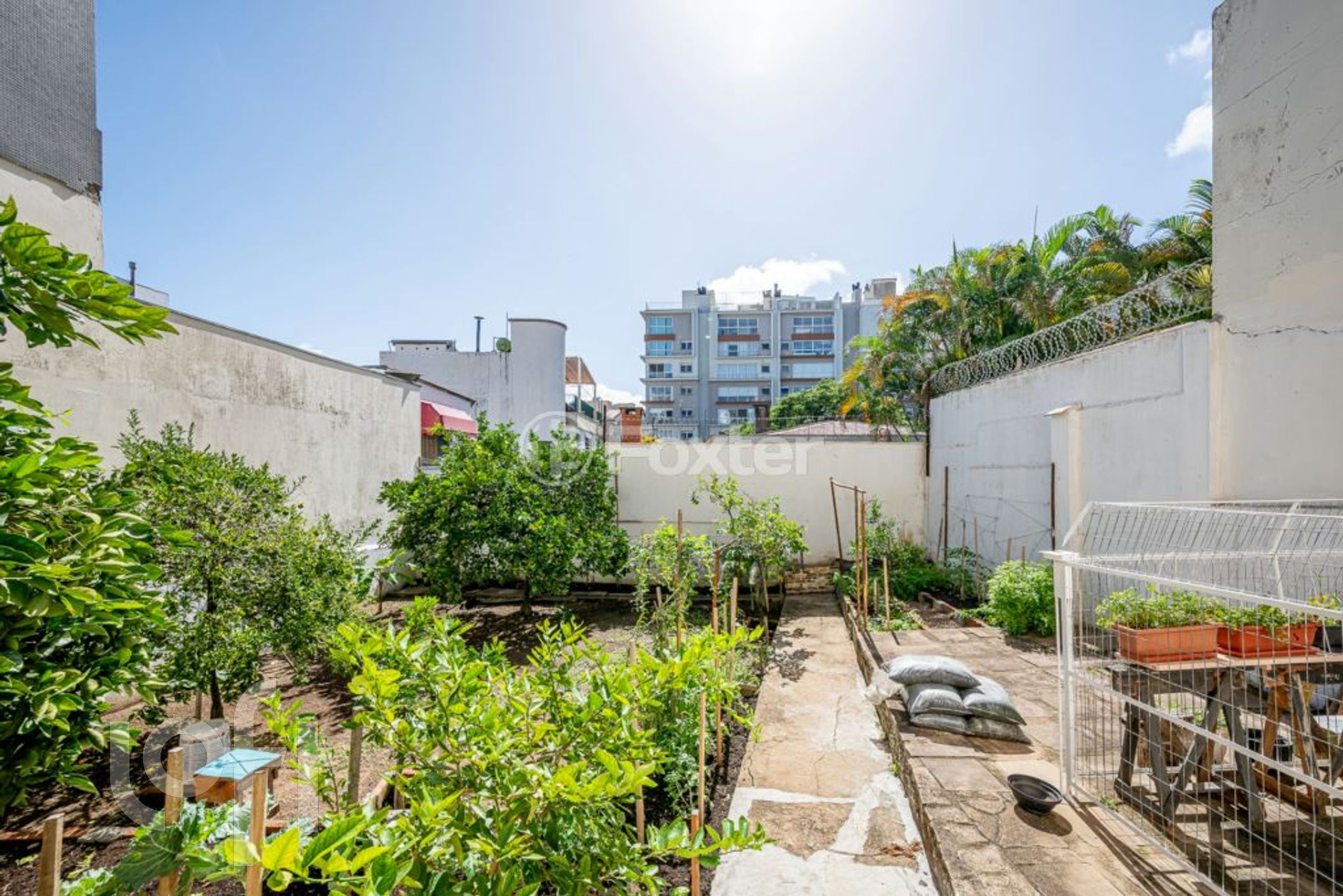 Imagem da propriedade 30