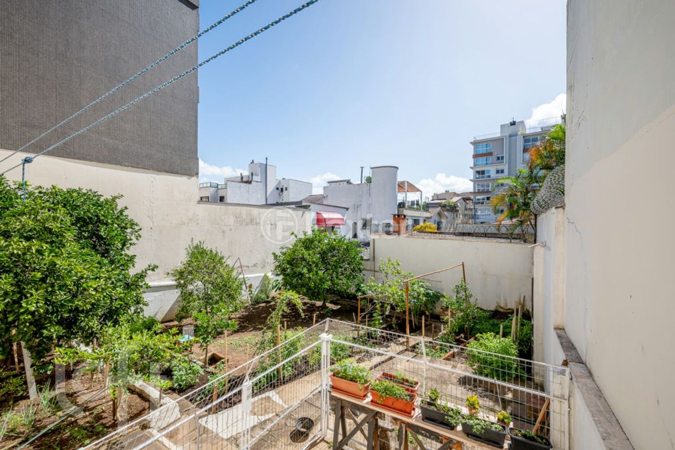 Imagem da propriedade 29