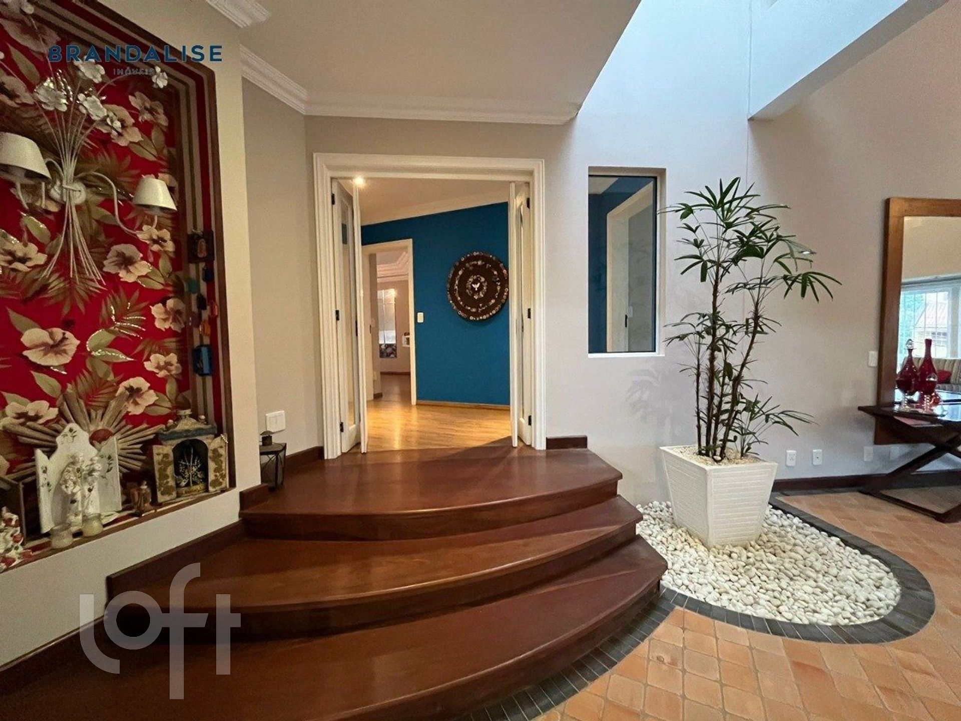 Imagem da propriedade 6