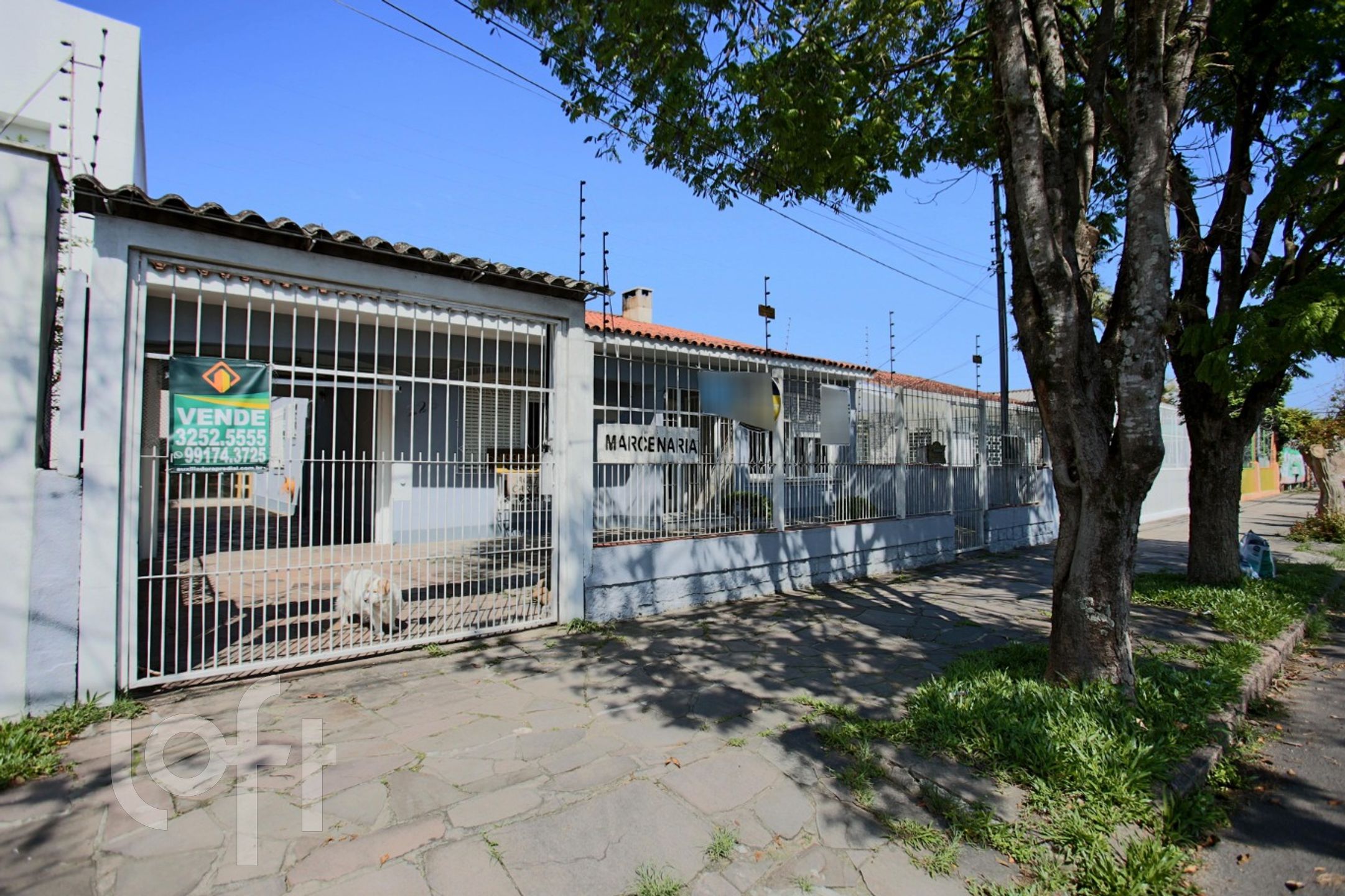 Imagem da propriedade 30