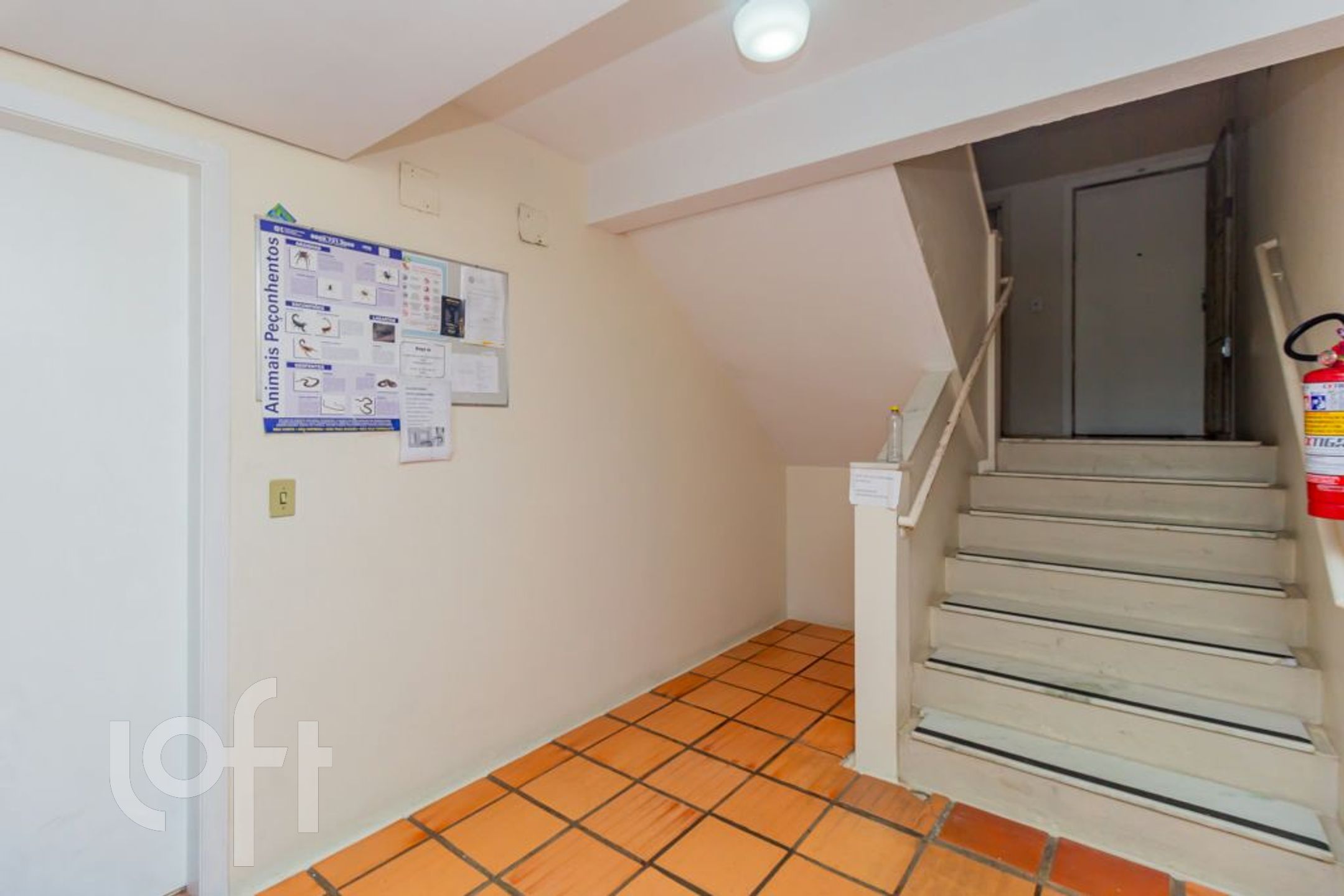 Imagem da propriedade 20