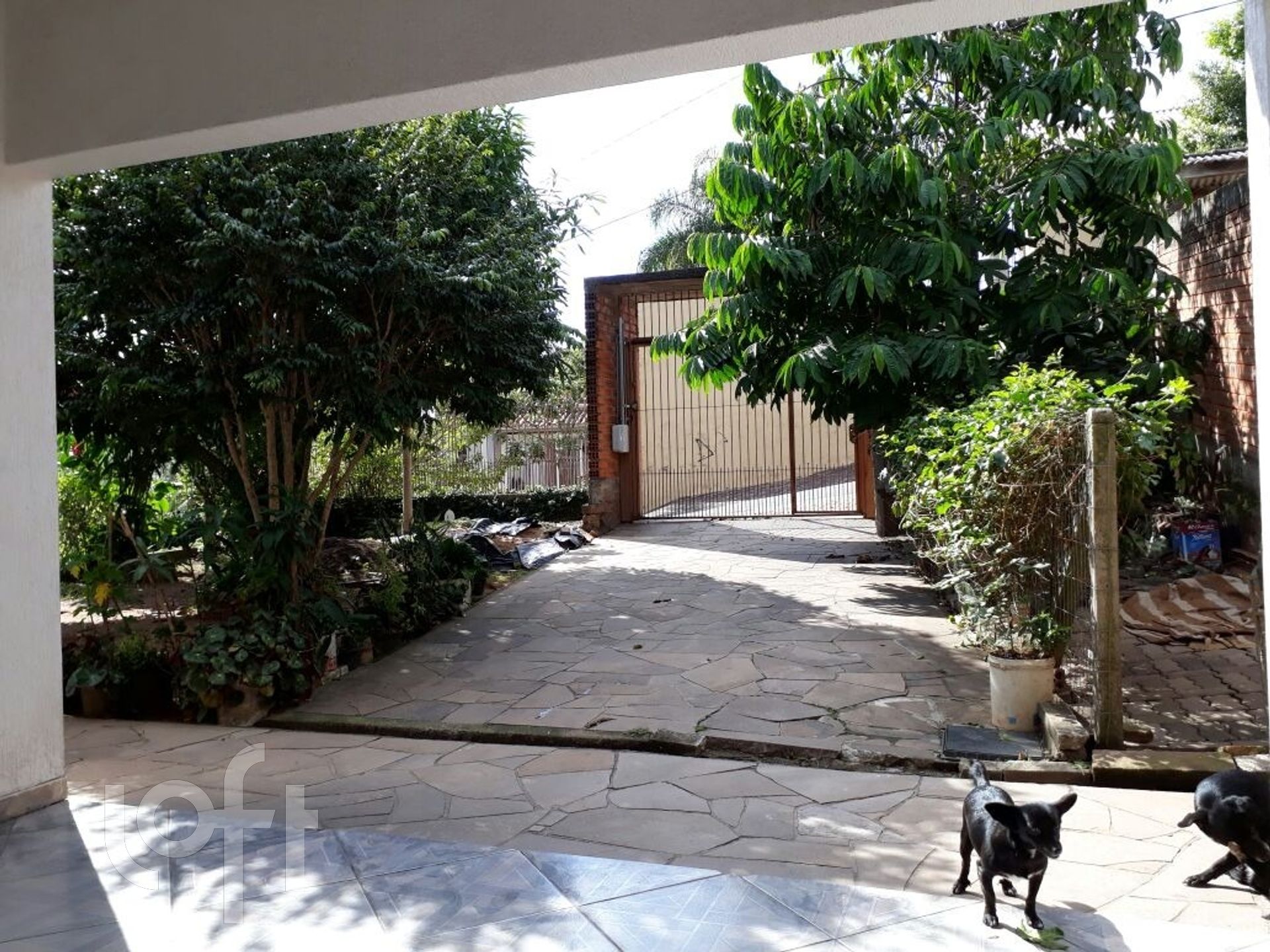 Imagem da propriedade 14