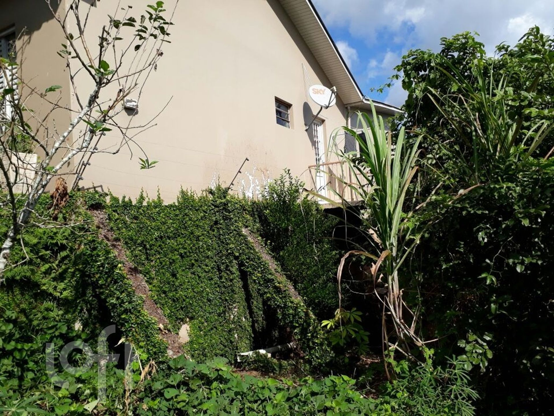 Imagem da propriedade 2