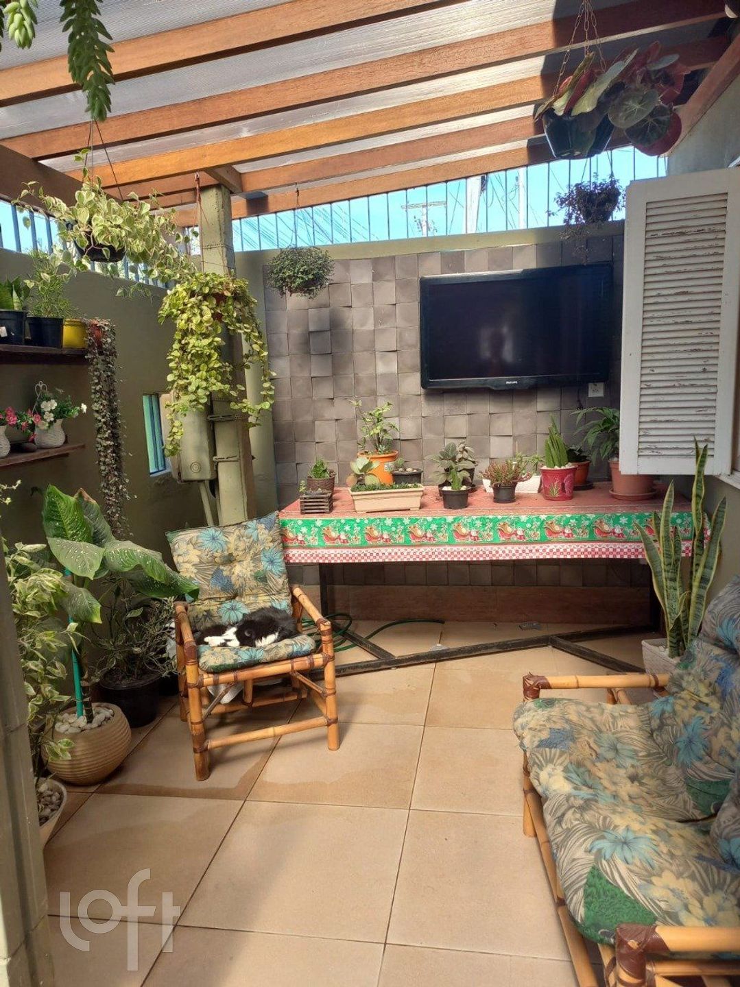 Imagem da propriedade 16