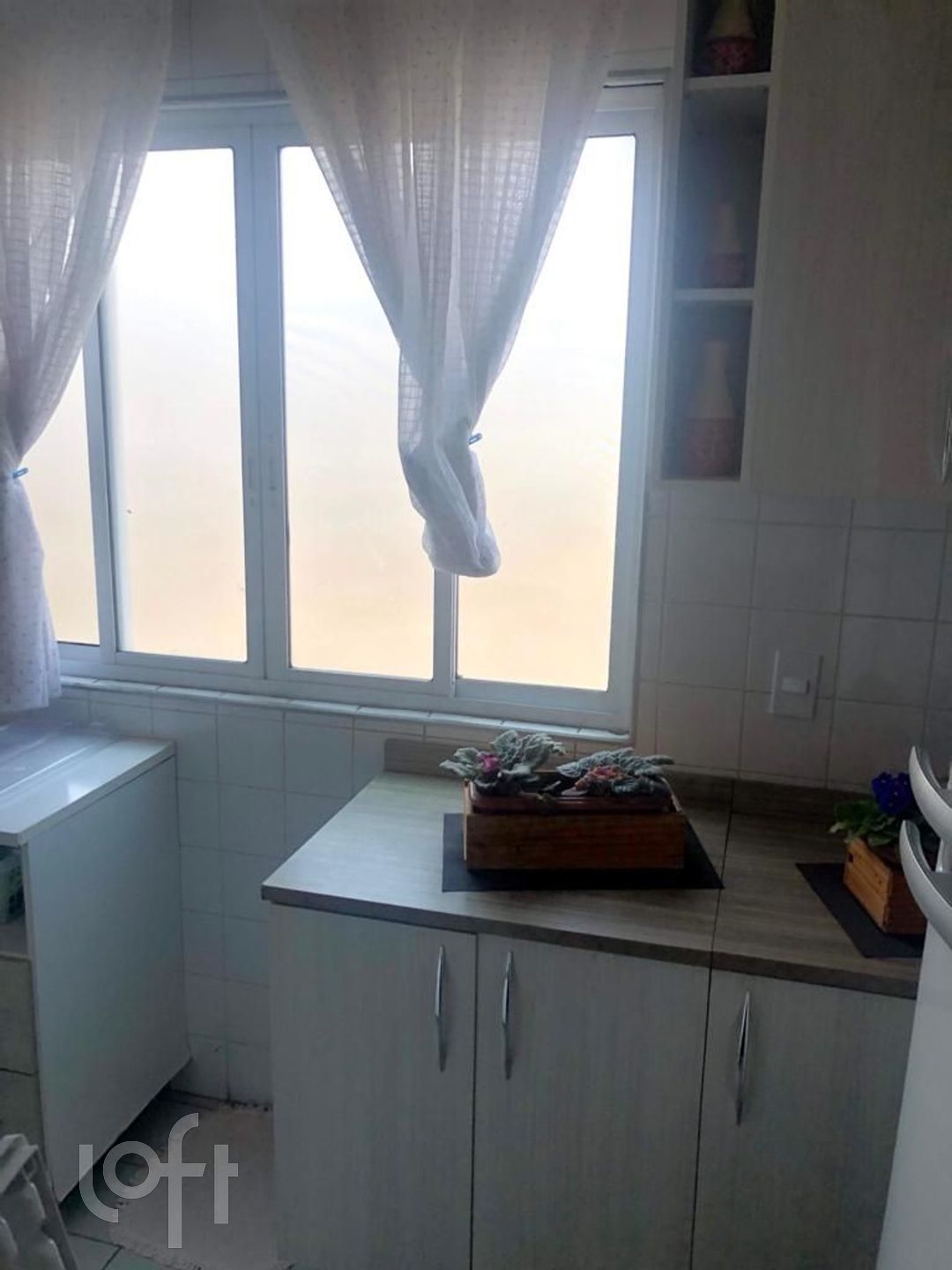 Imagem da propriedade 5