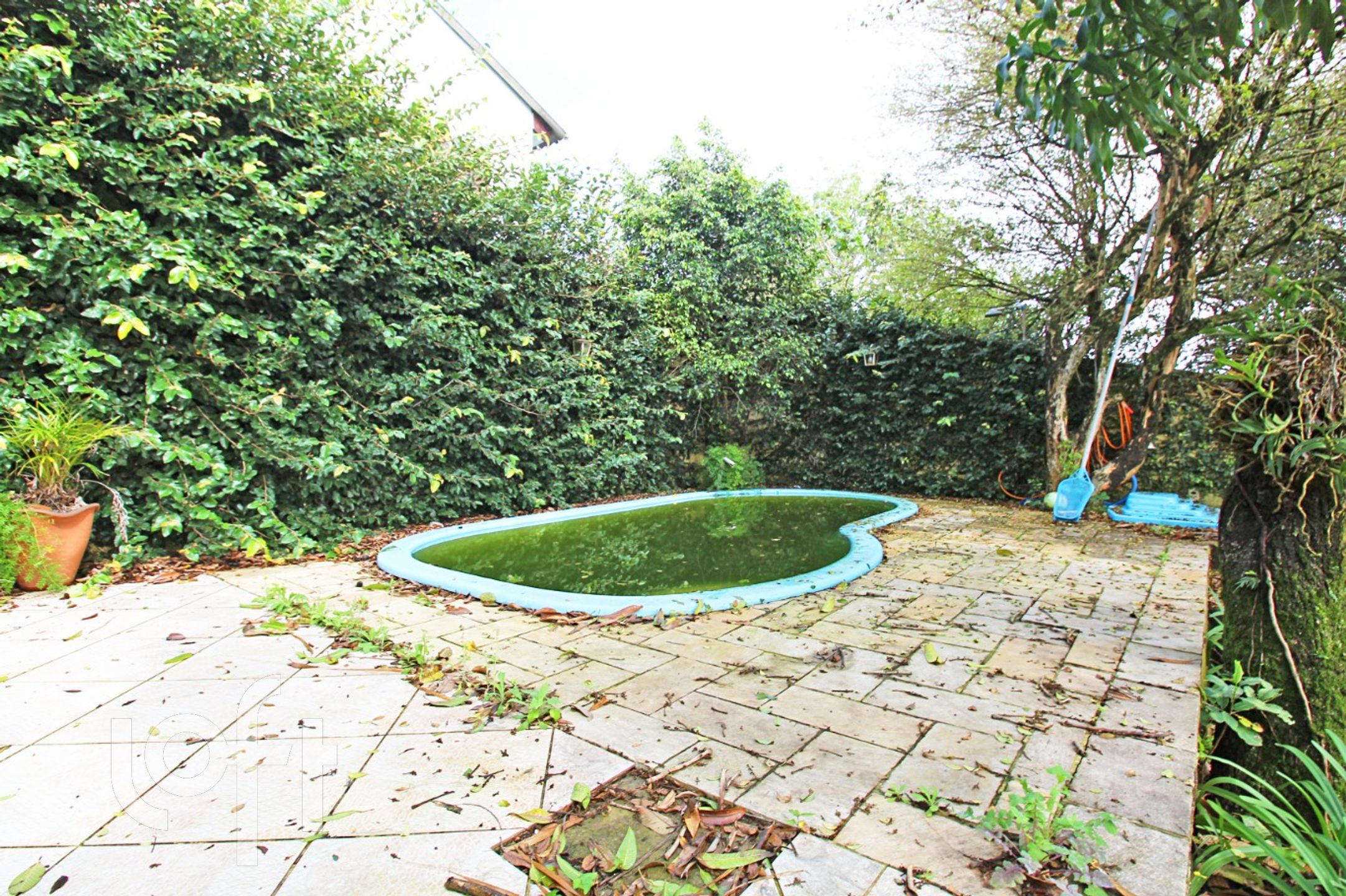 Imagem da propriedade 18