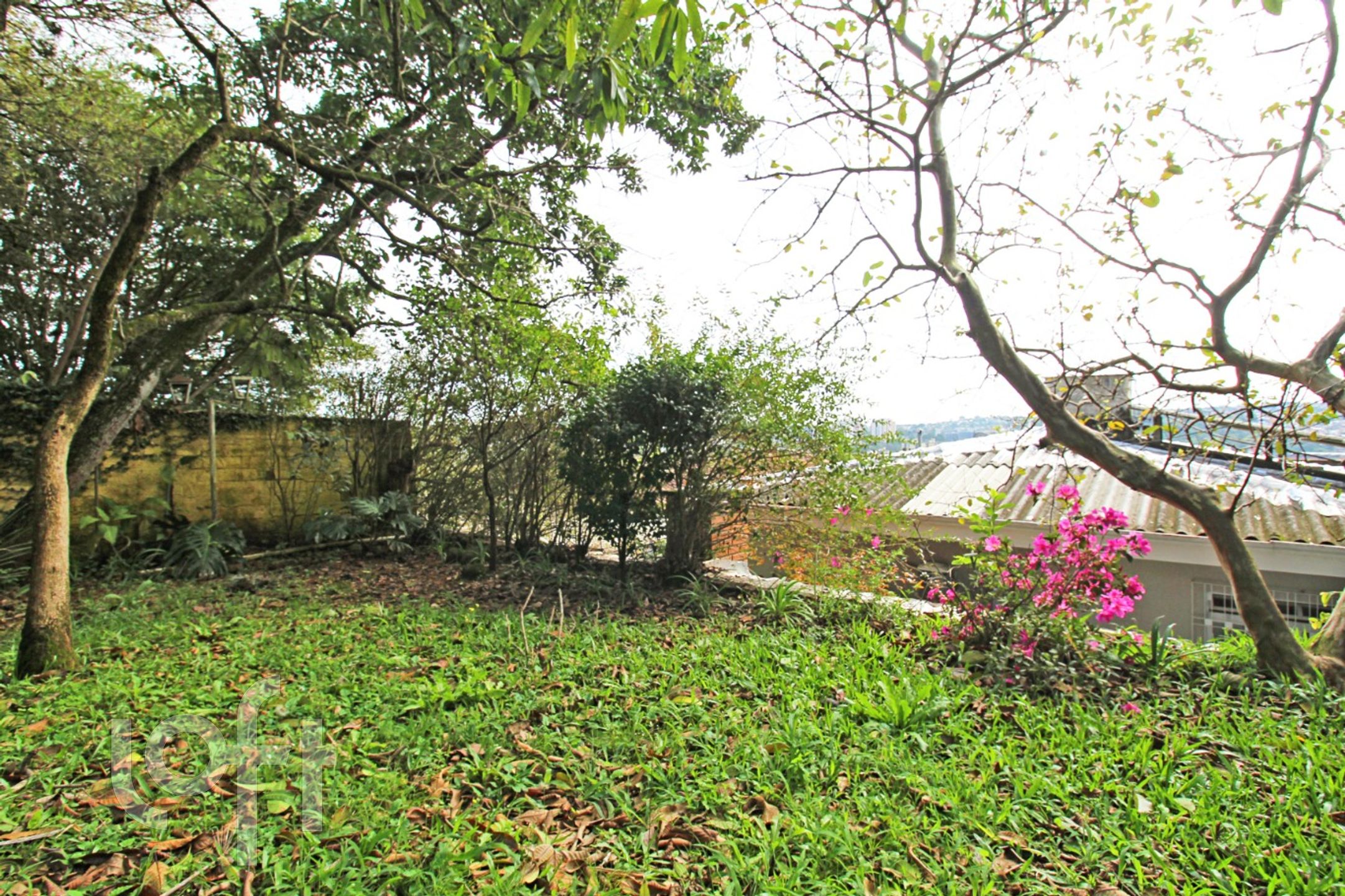 Imagem da propriedade 19