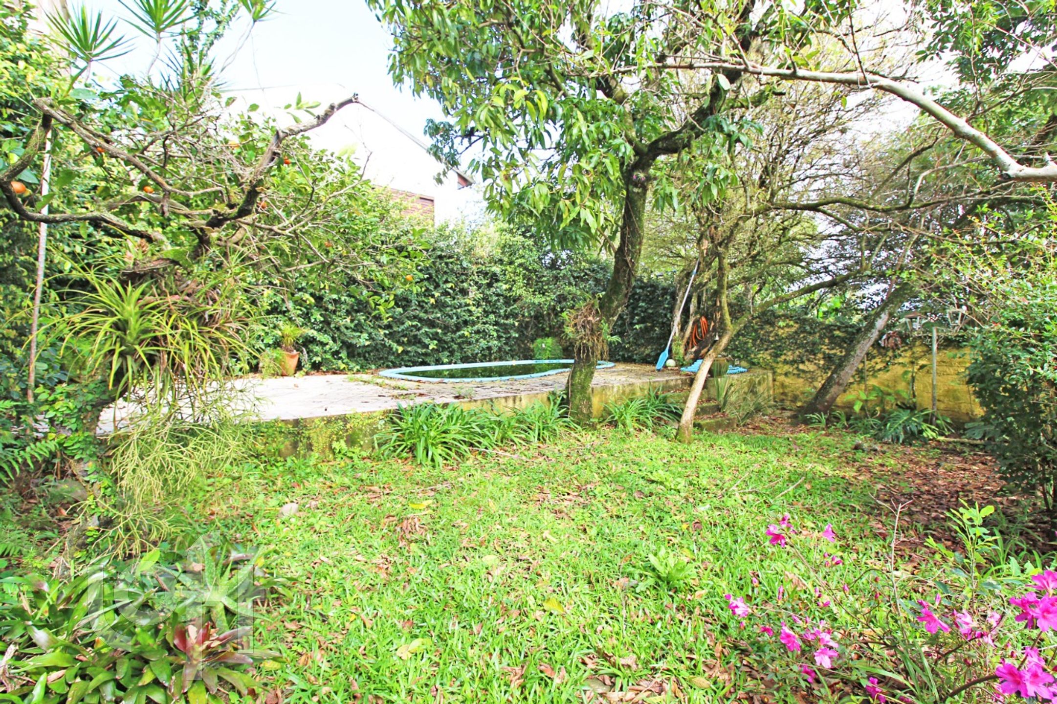 Imagem da propriedade 17