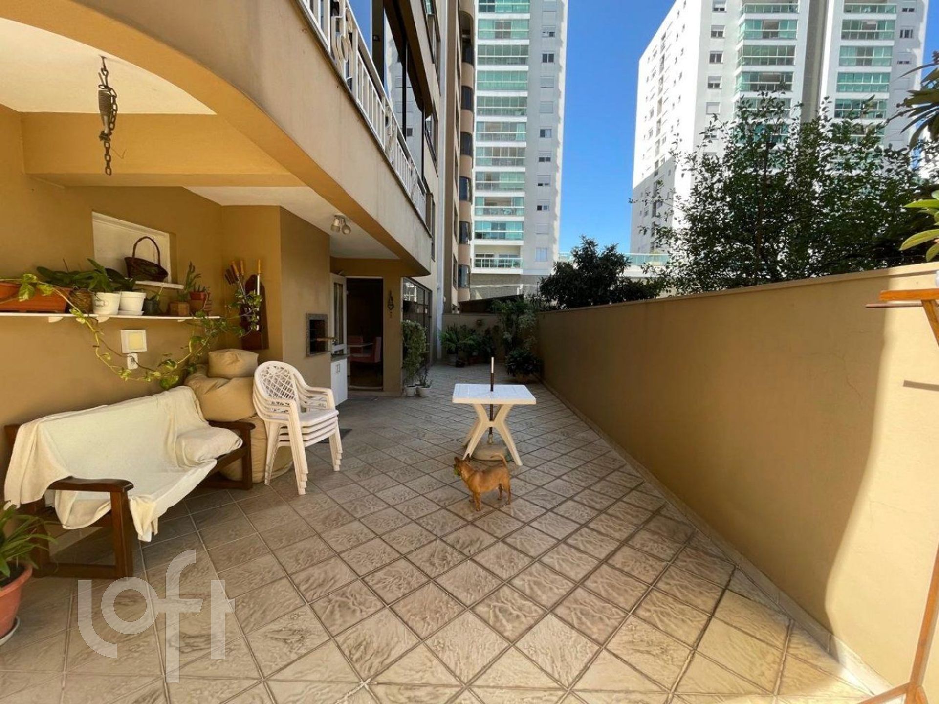 Imagem da propriedade 19