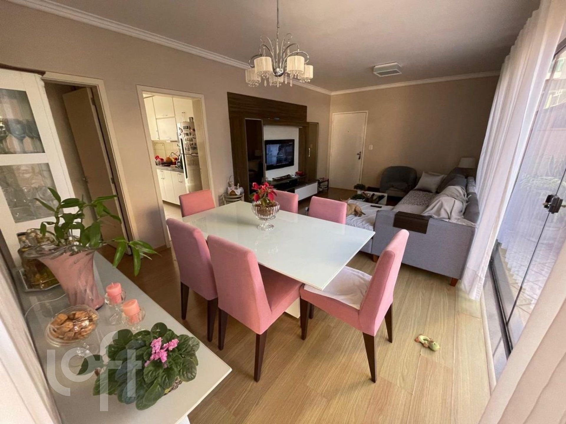 Imagem da propriedade 3