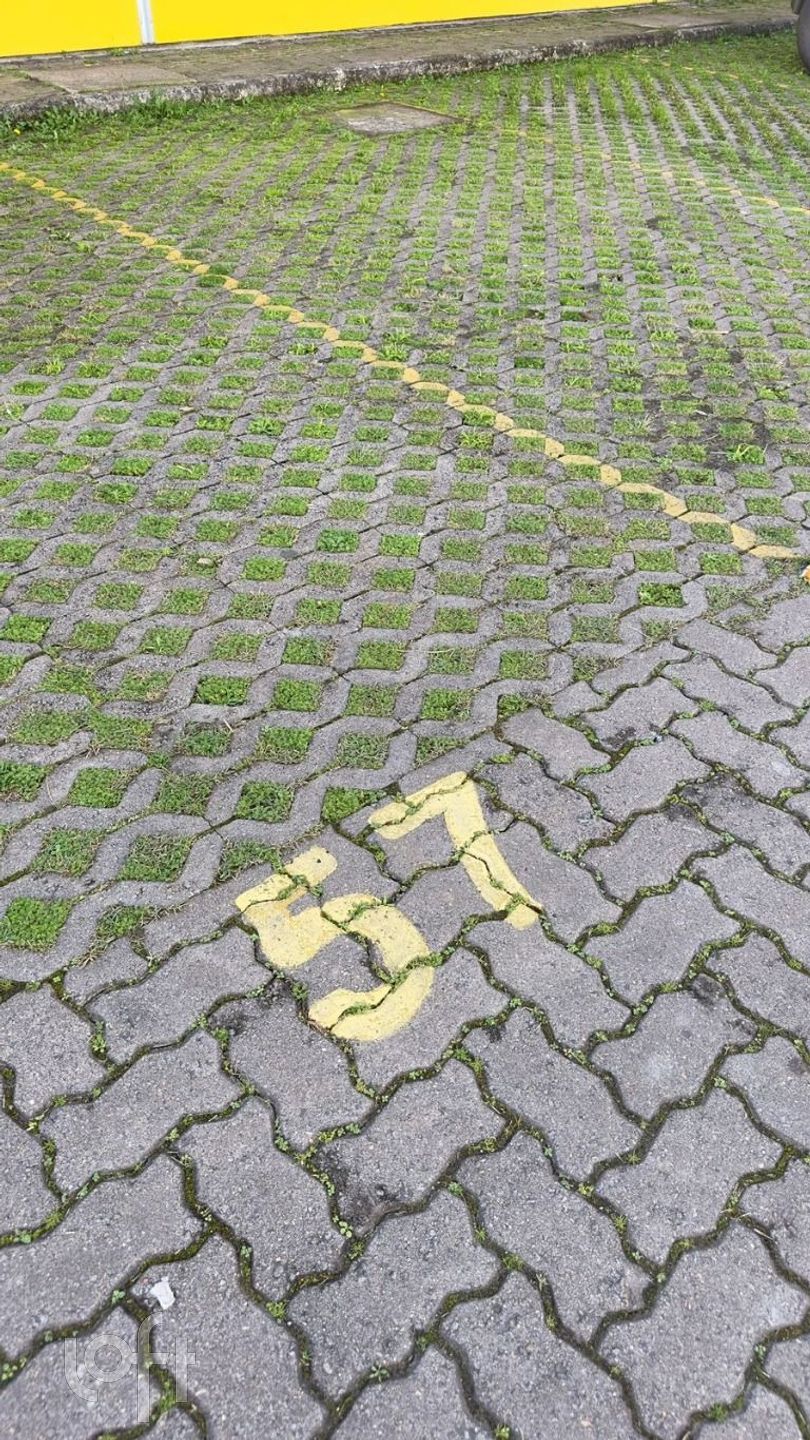 Imagem da propriedade 18