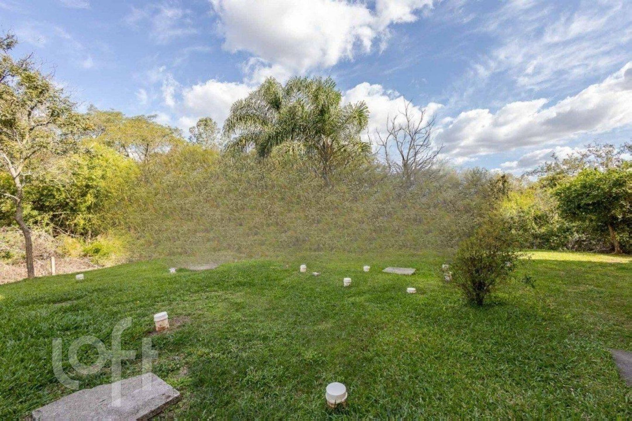 Imagem da propriedade 15