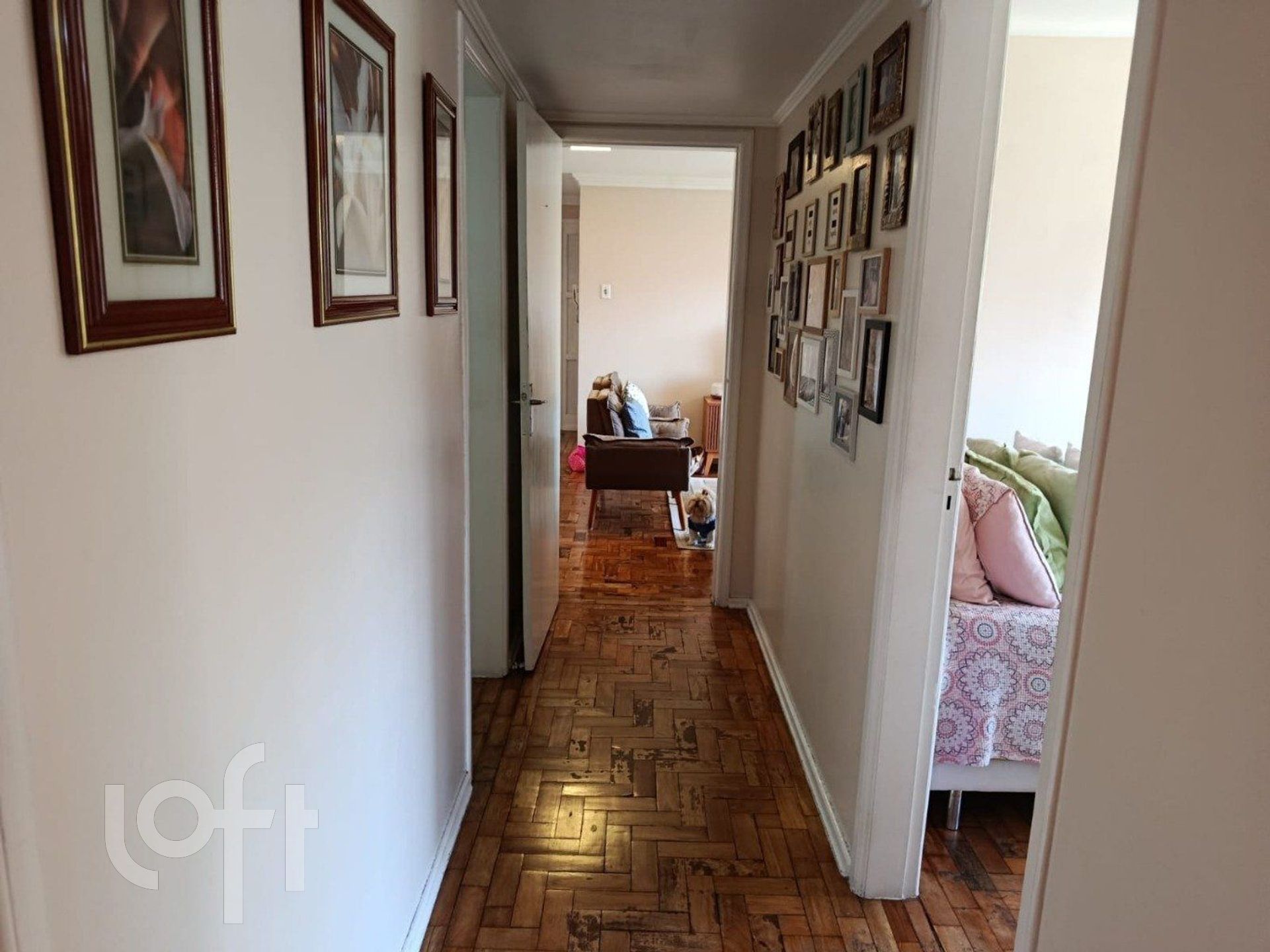 Imagem da propriedade 18