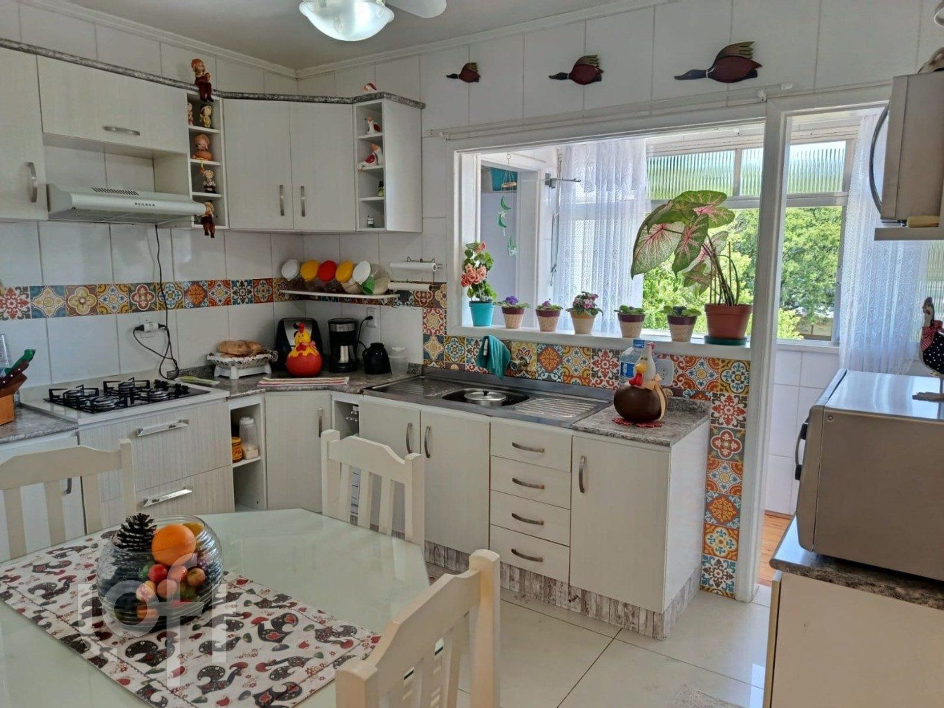 Imagem da propriedade 4