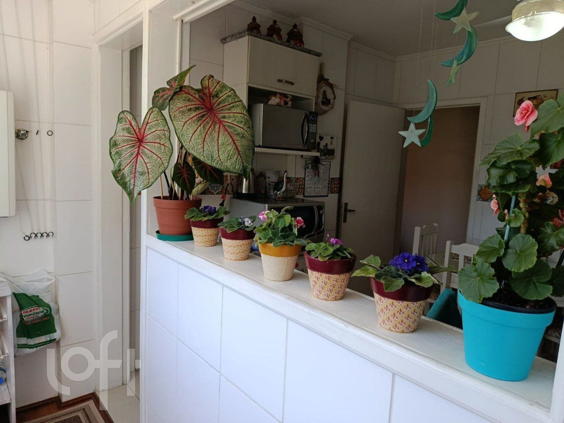 Imagem da propriedade 27