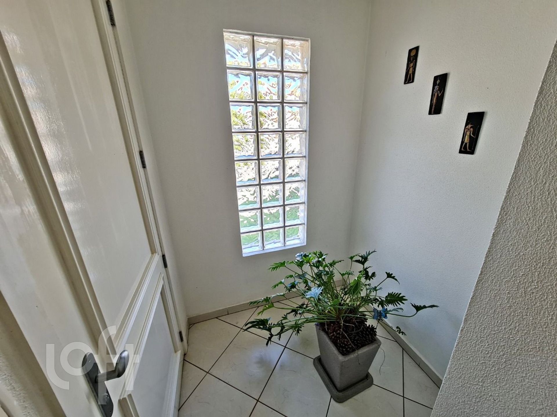 Imagem da propriedade 12