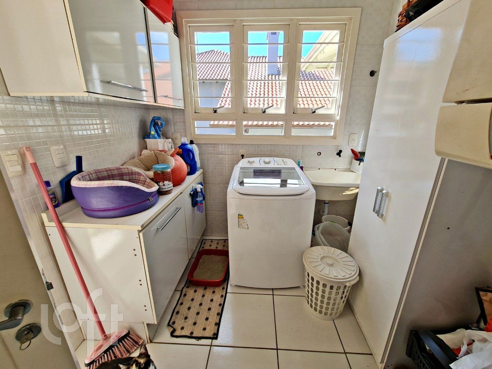 Imagem da propriedade 9