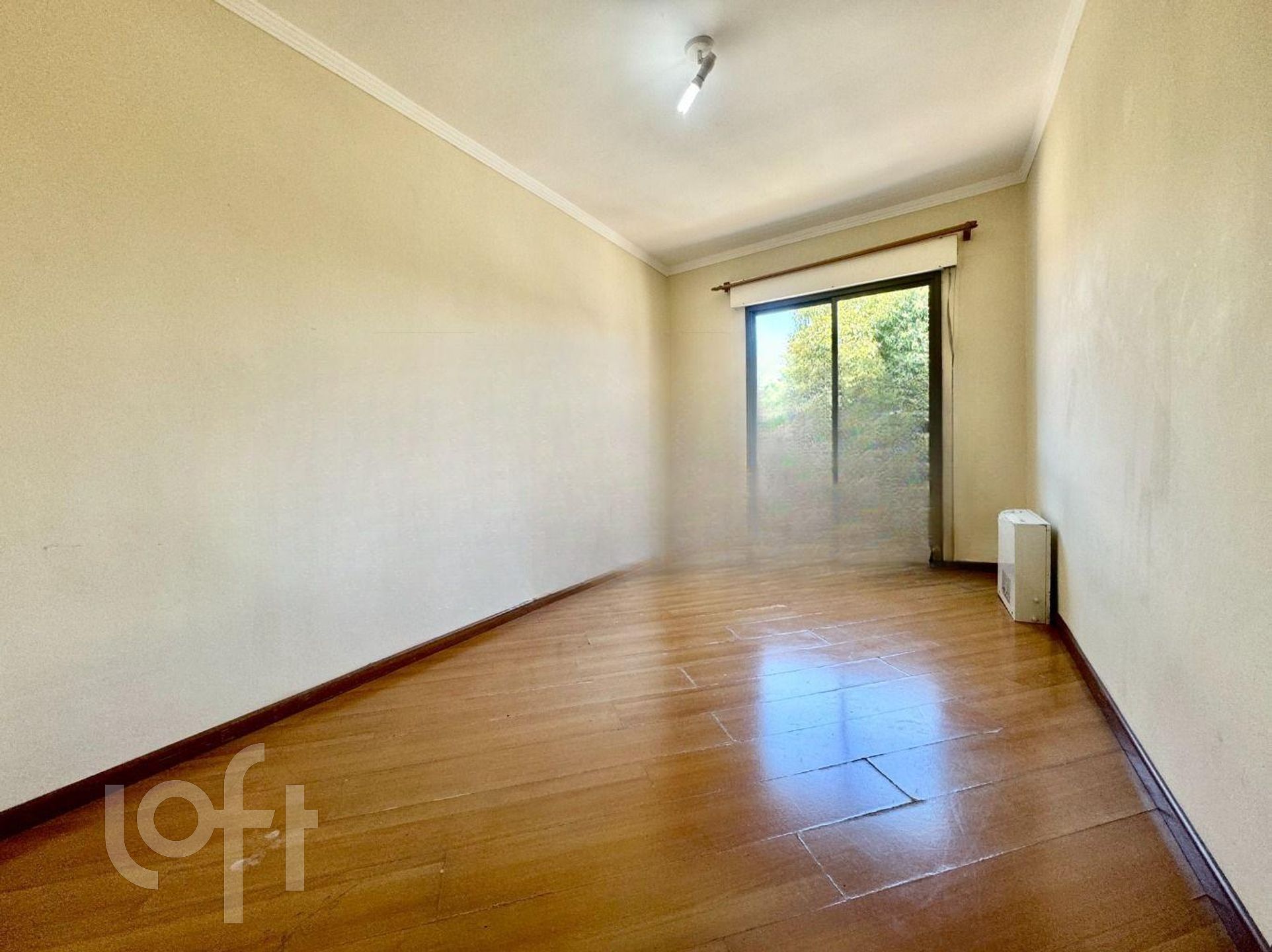 Imagem da propriedade 3