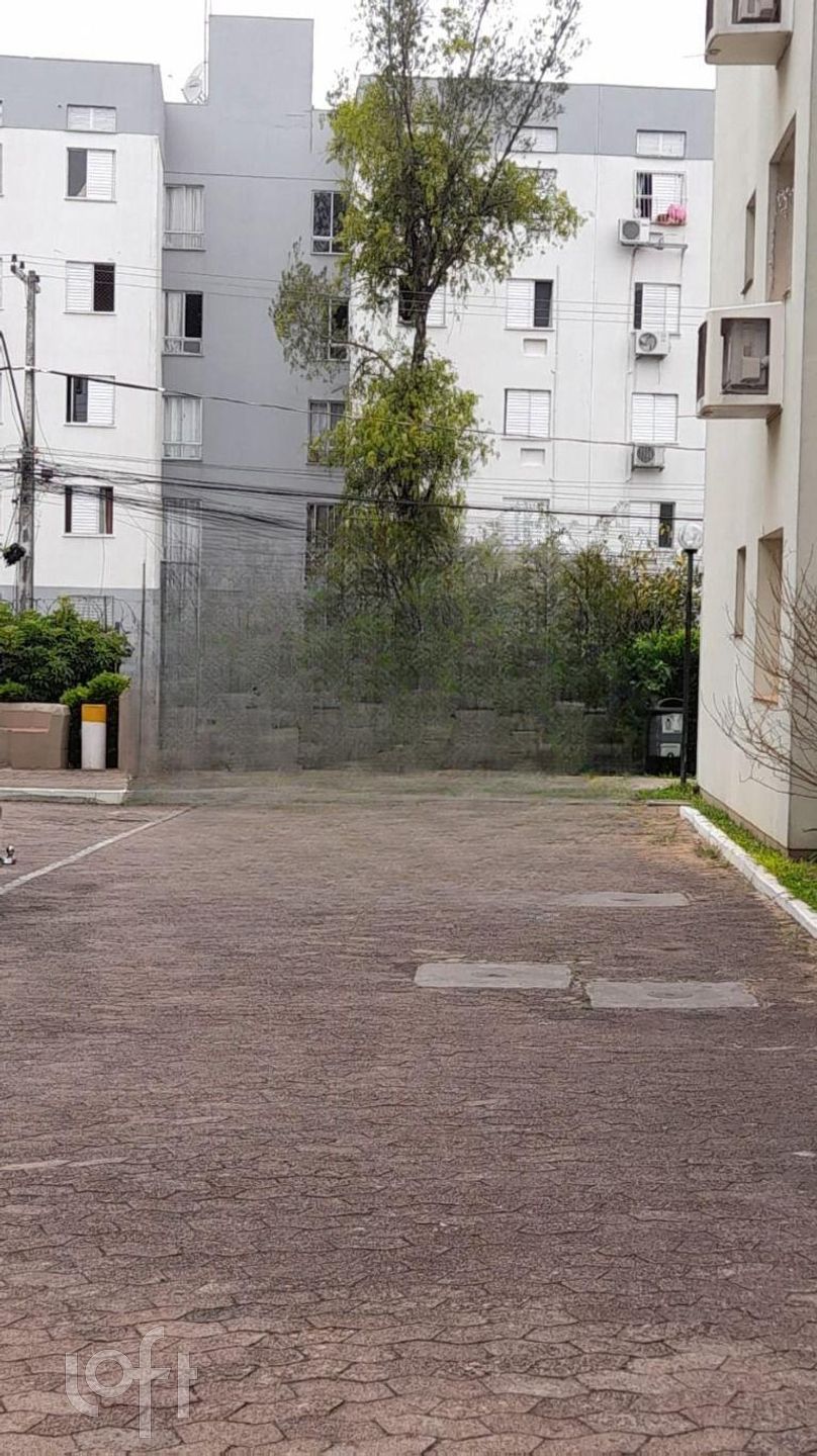 Imagem da propriedade 19