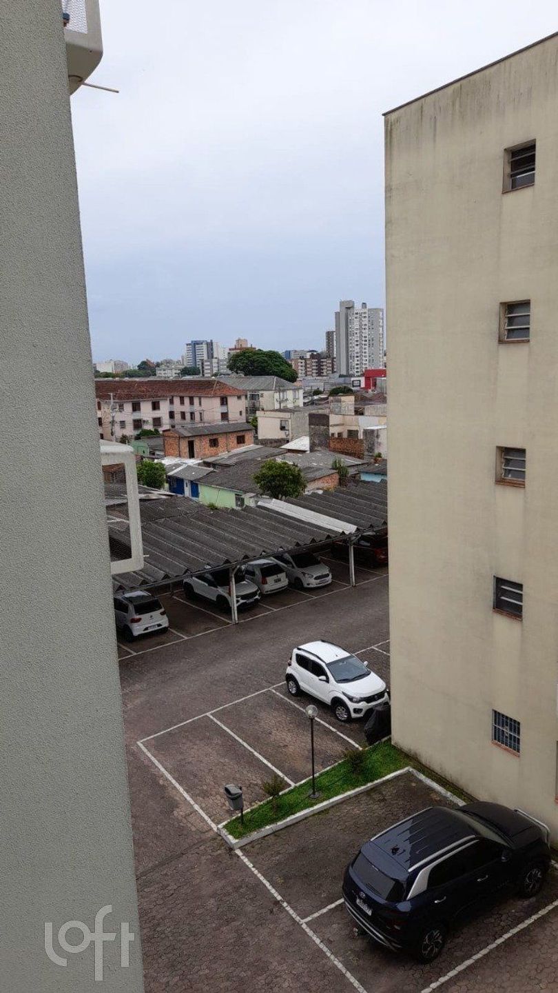 Imagem da propriedade 11