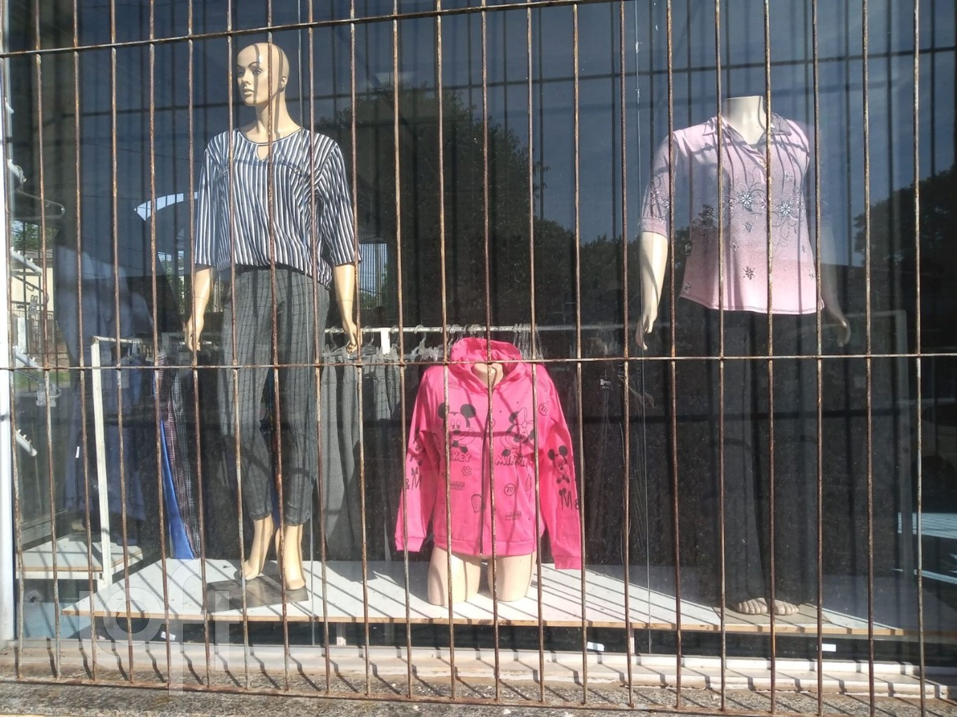 Imagem da propriedade 12