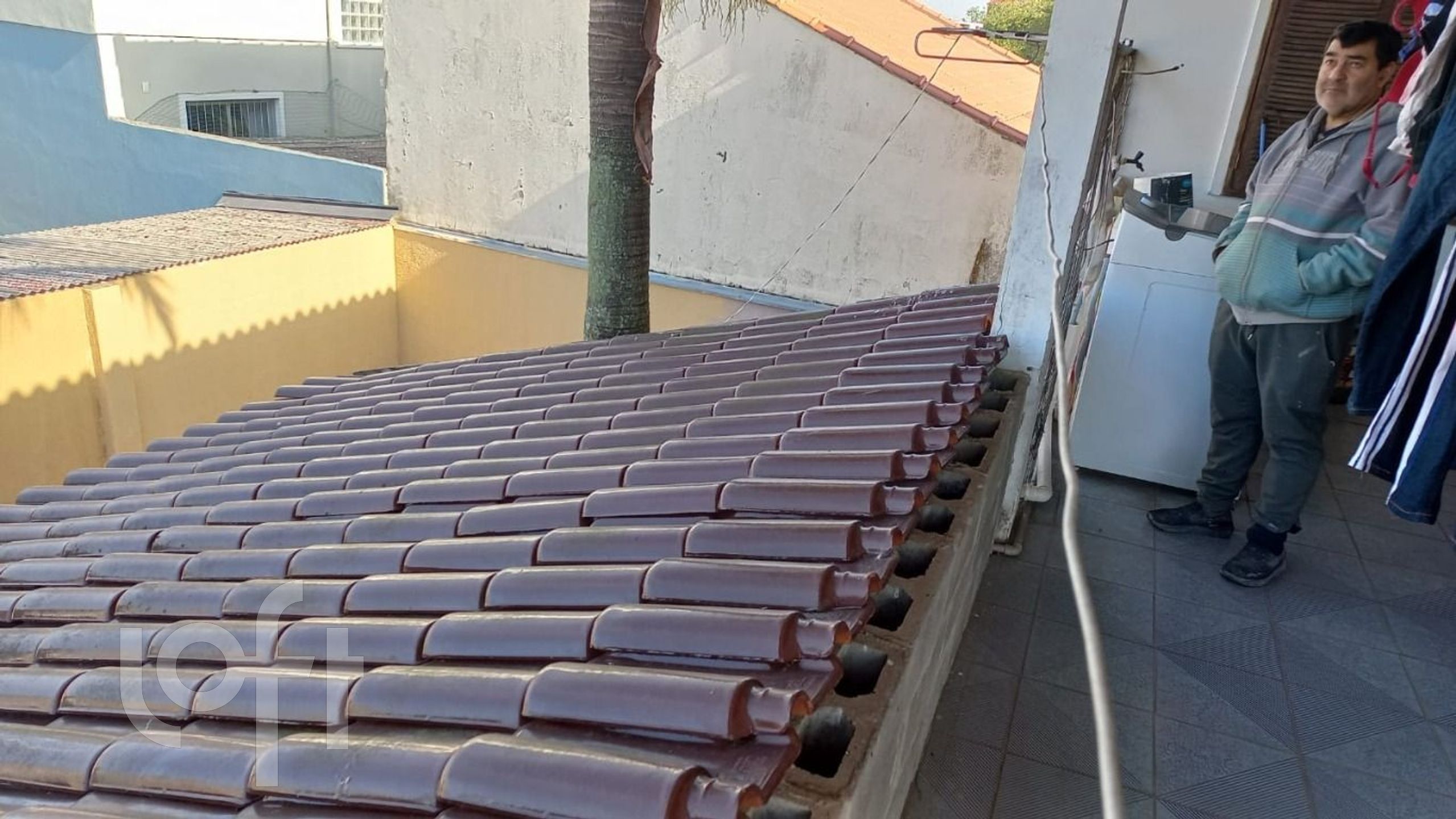 Imagem da propriedade 19