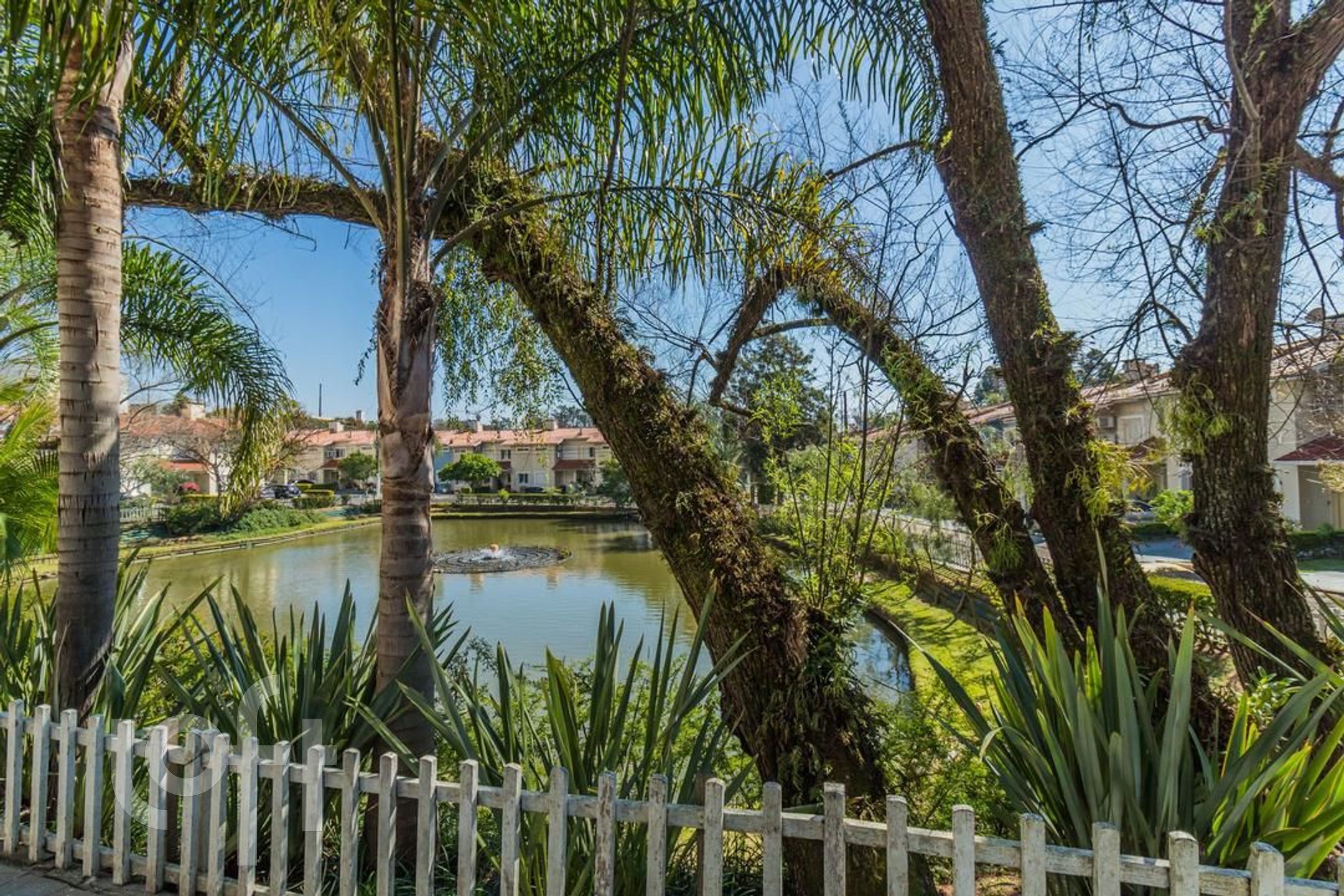 Imagem da propriedade 37