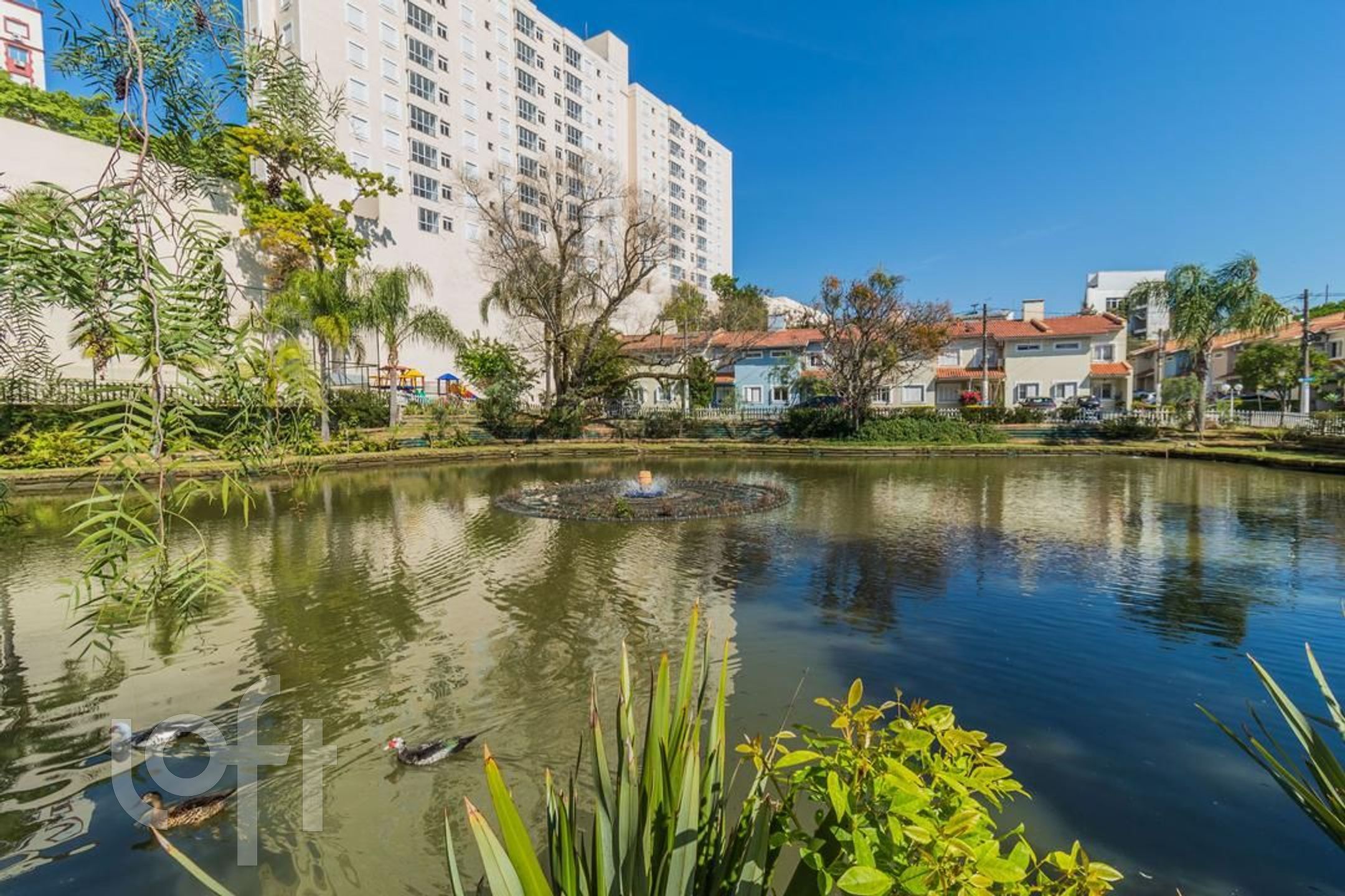 Imagem da propriedade 20