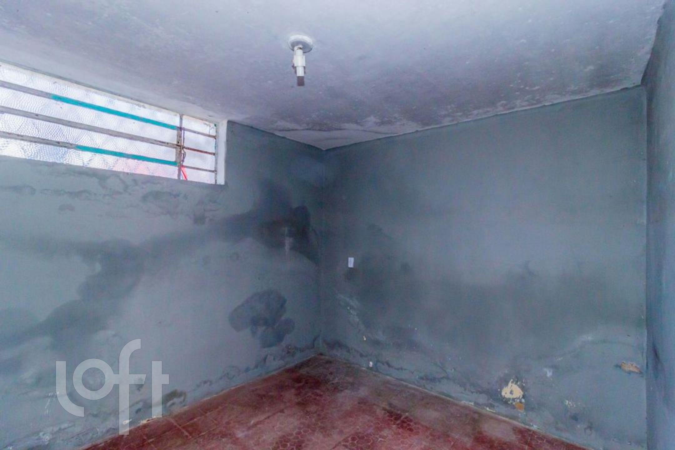 Imagem da propriedade 12