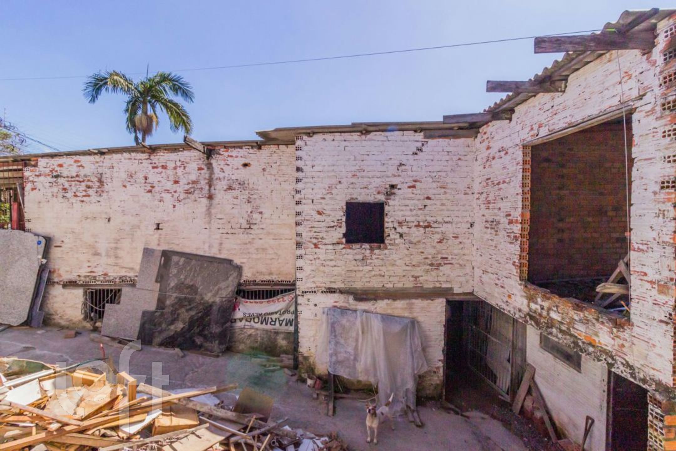 Imagem da propriedade 38