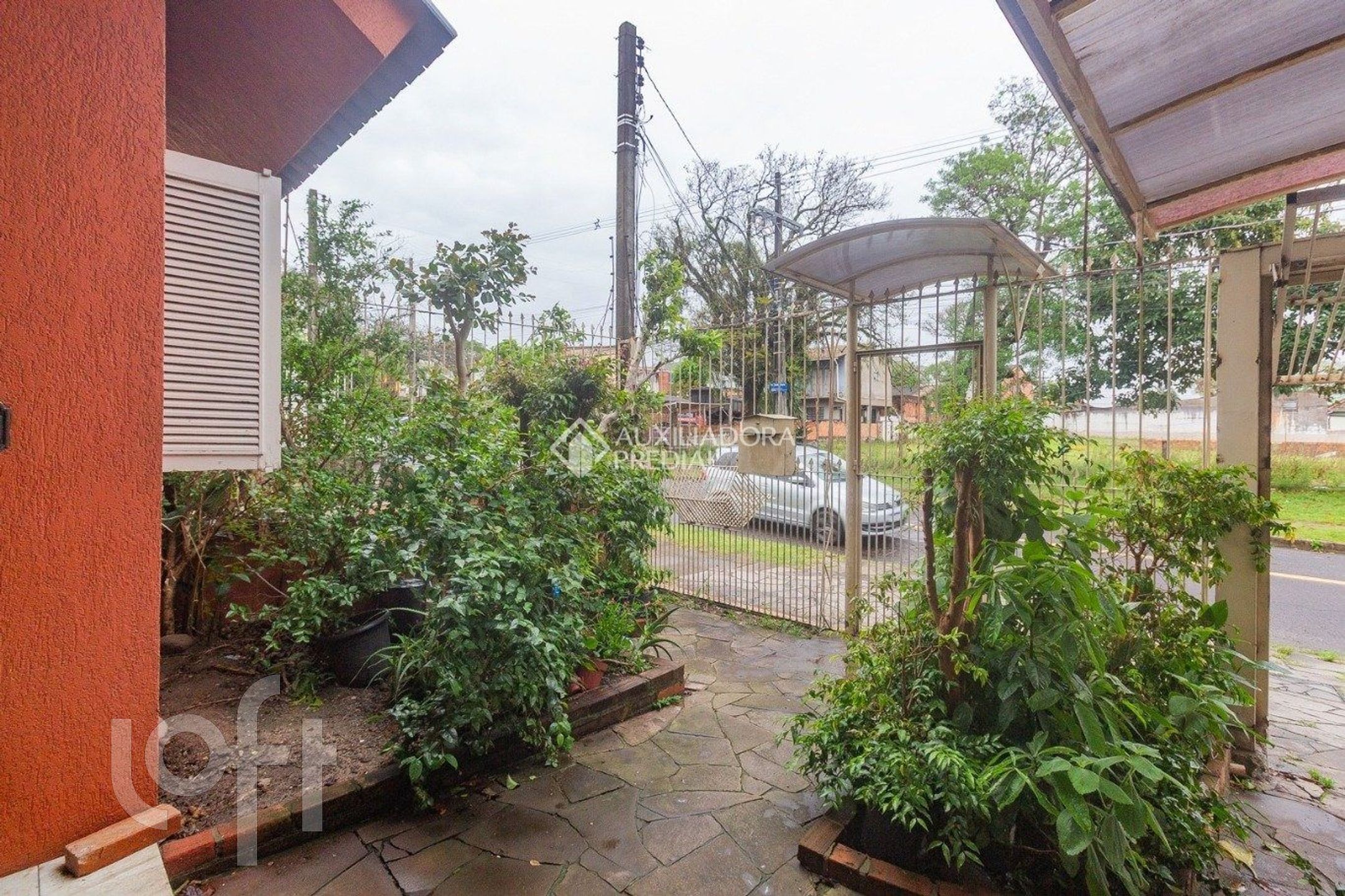 Imagem da propriedade 53